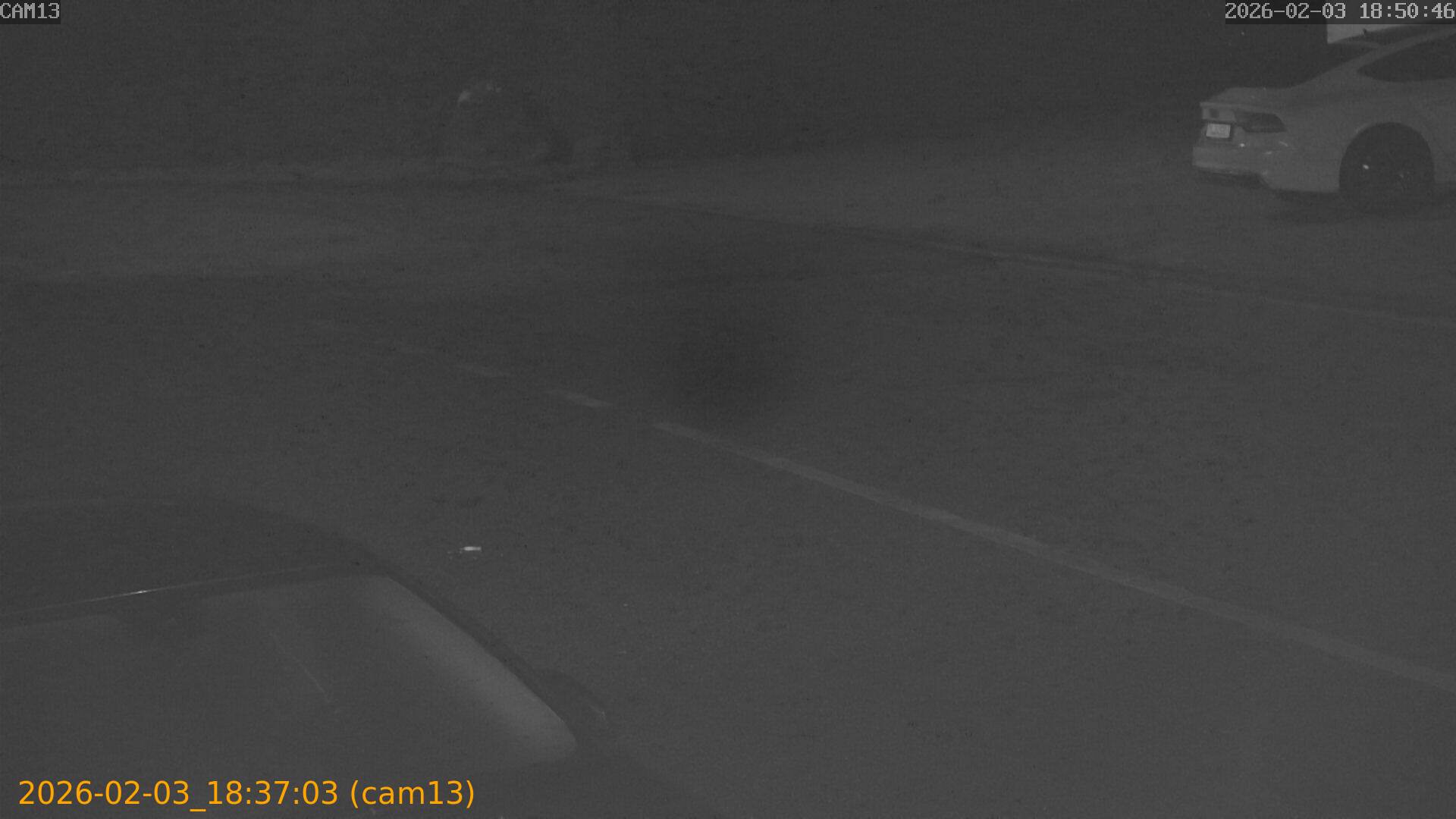 thumbnail_20260203183703