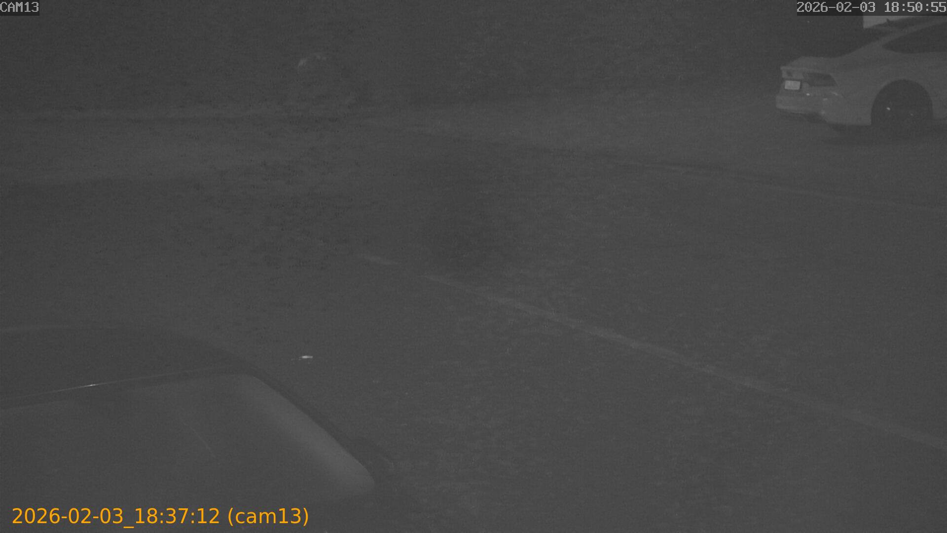 thumbnail_20260203183712