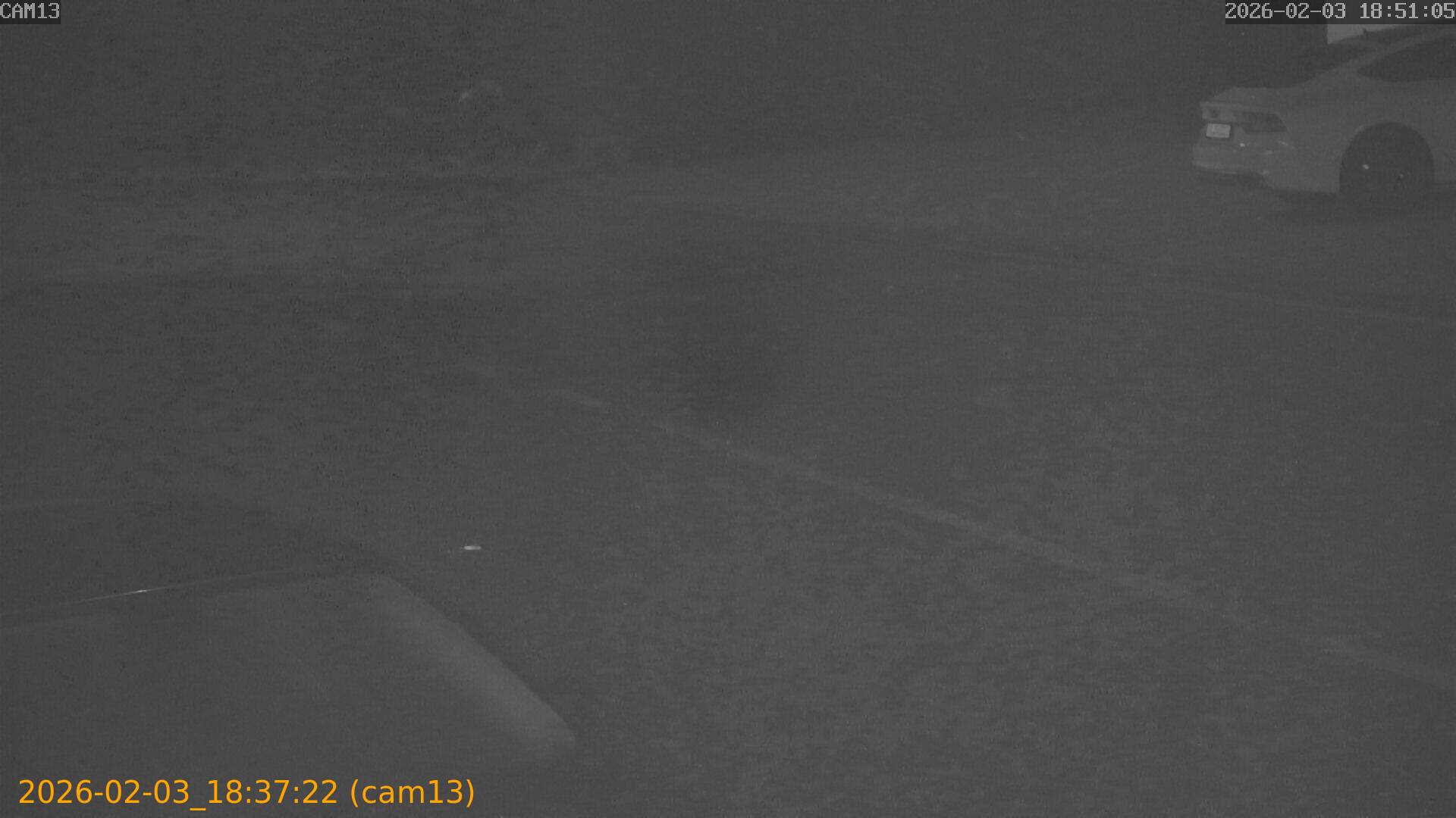 thumbnail_20260203183722