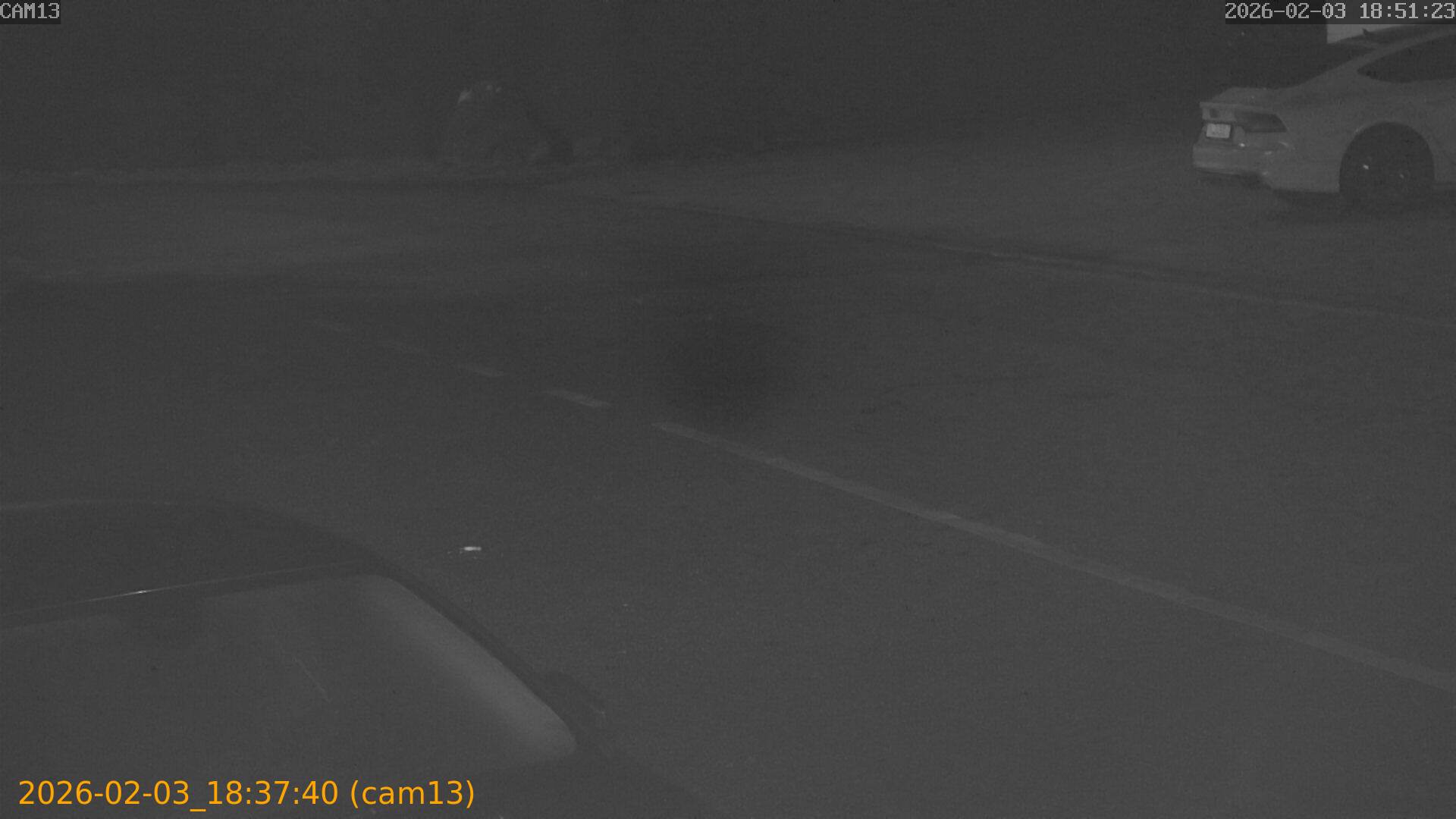 thumbnail_20260203183740