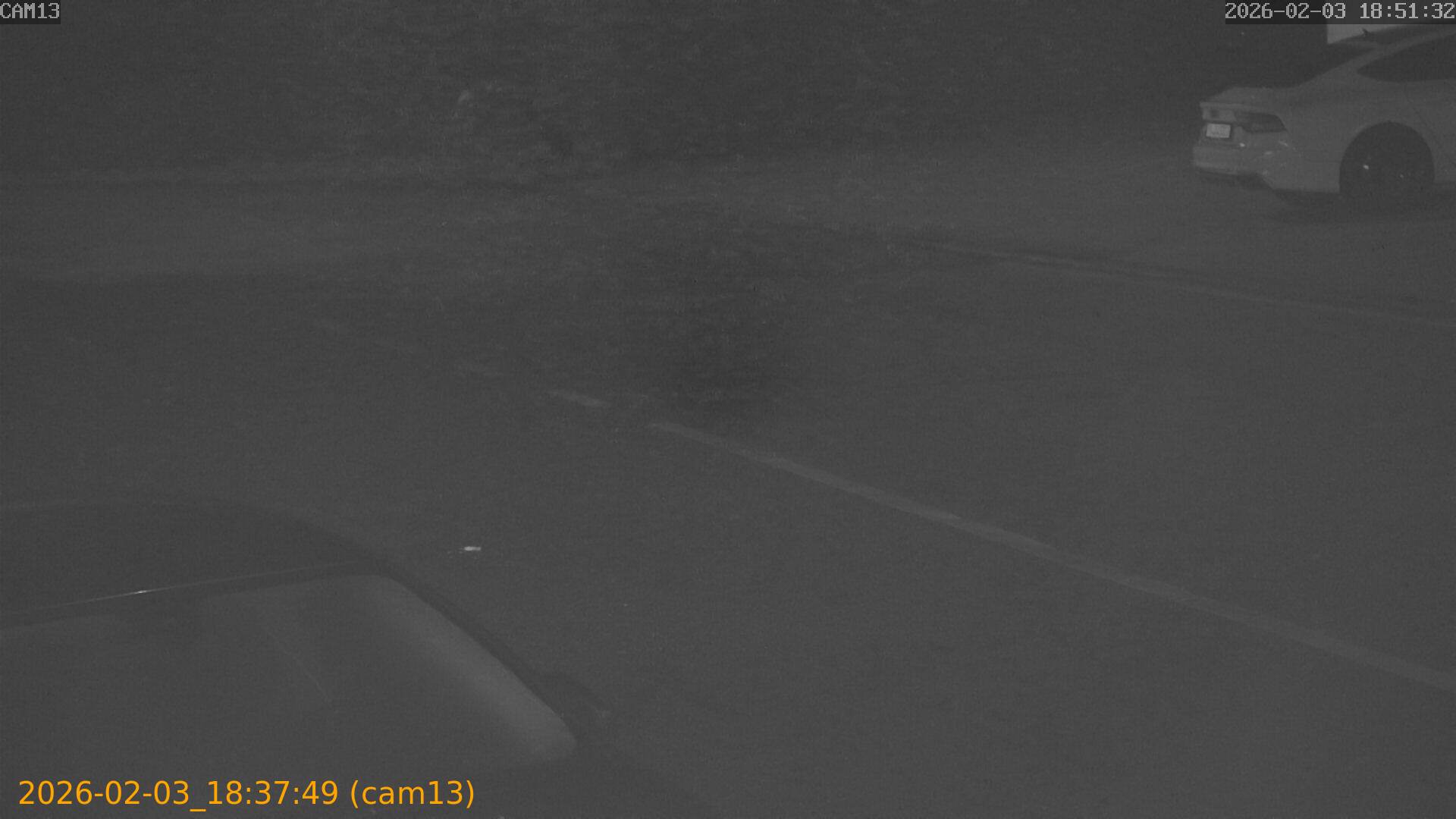 thumbnail_20260203183749