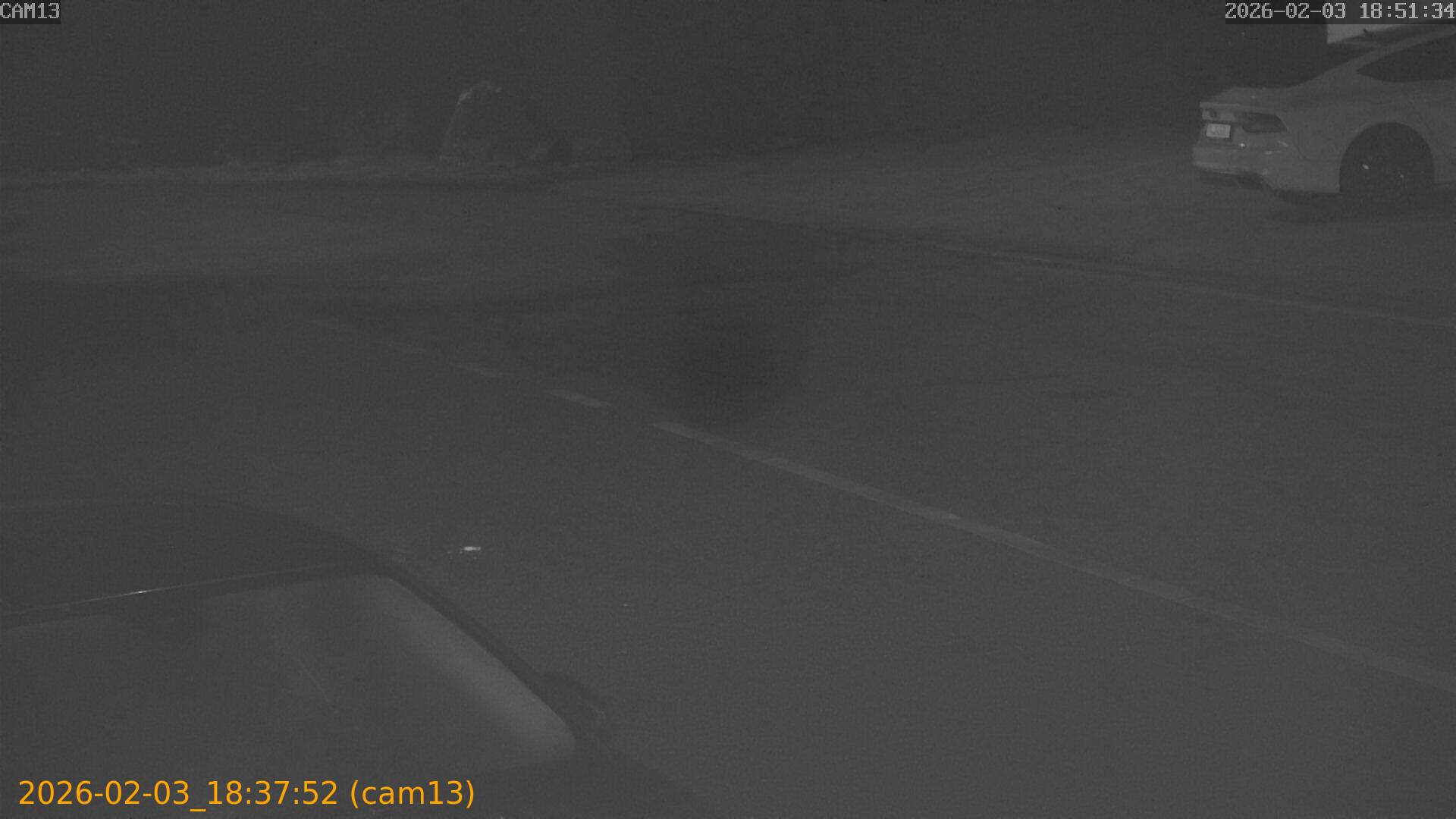 thumbnail_20260203183752