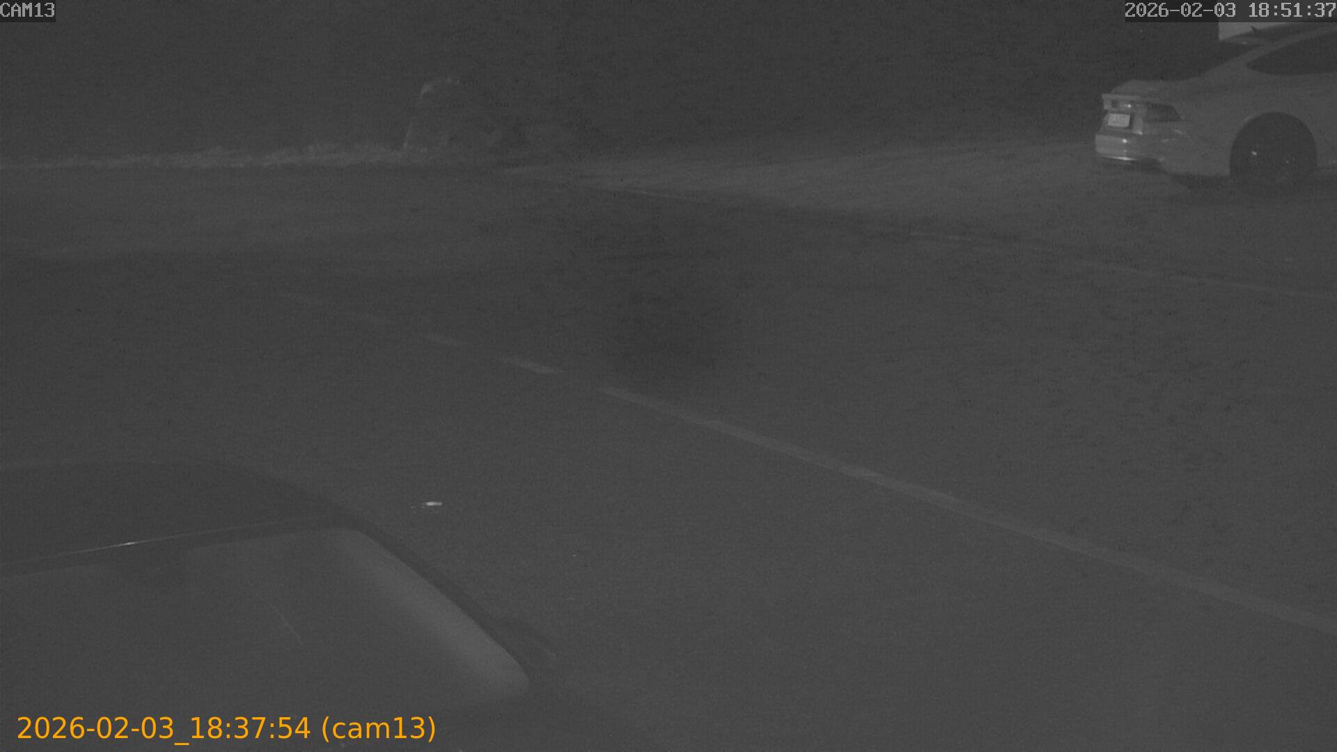 thumbnail_20260203183754