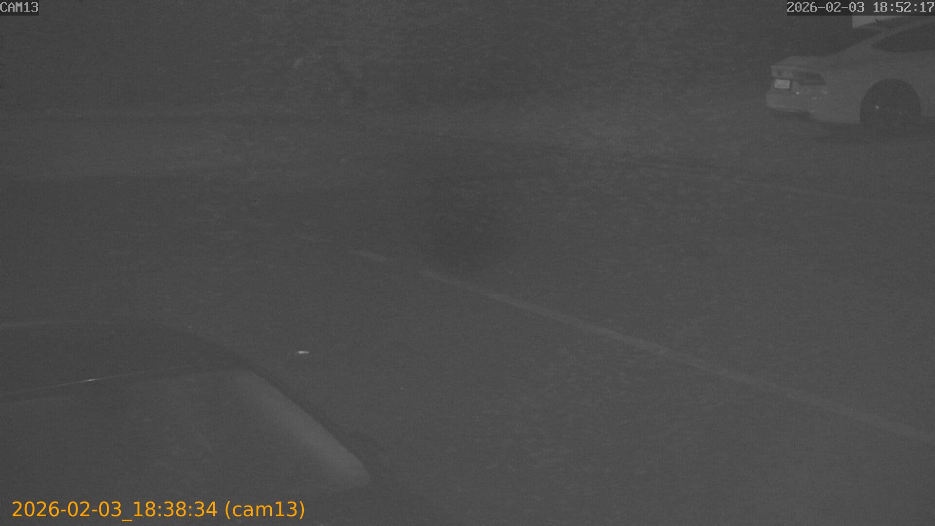 thumbnail_20260203183834