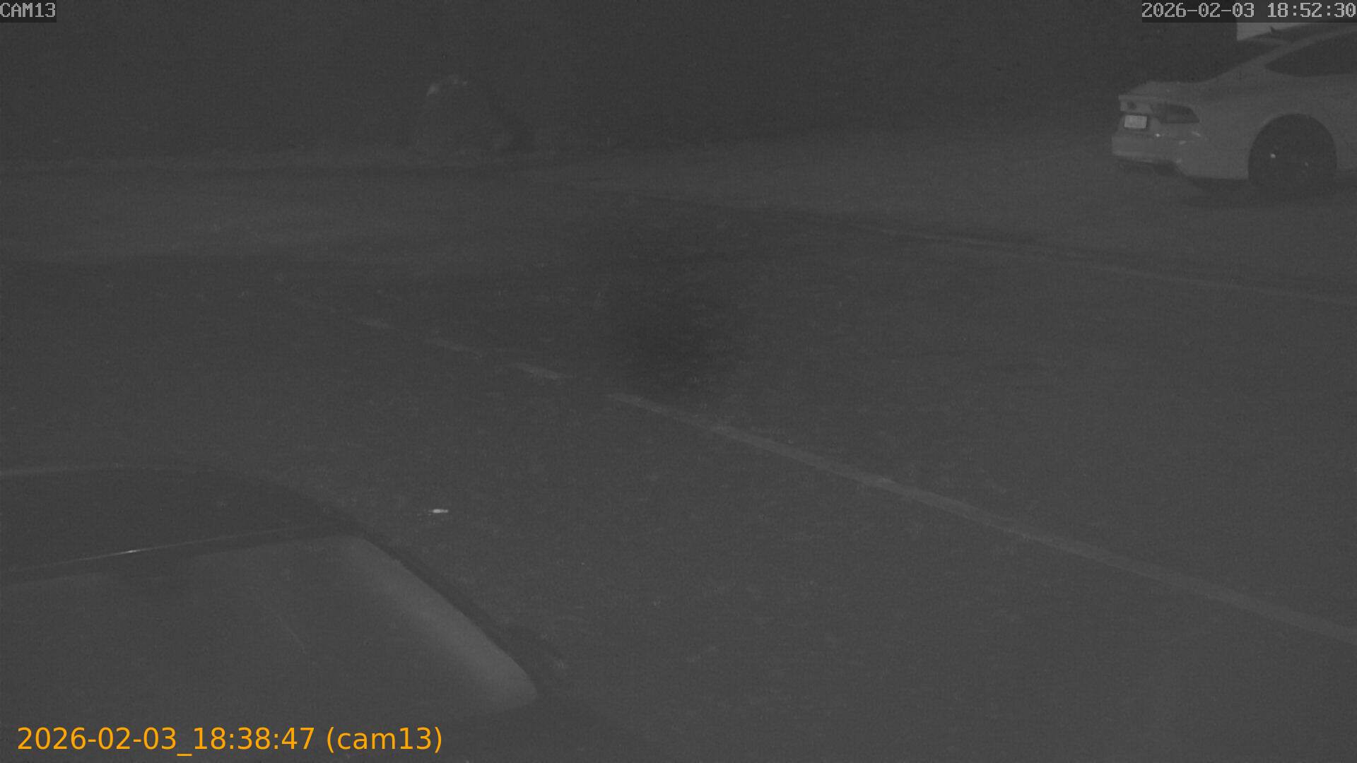 thumbnail_20260203183847