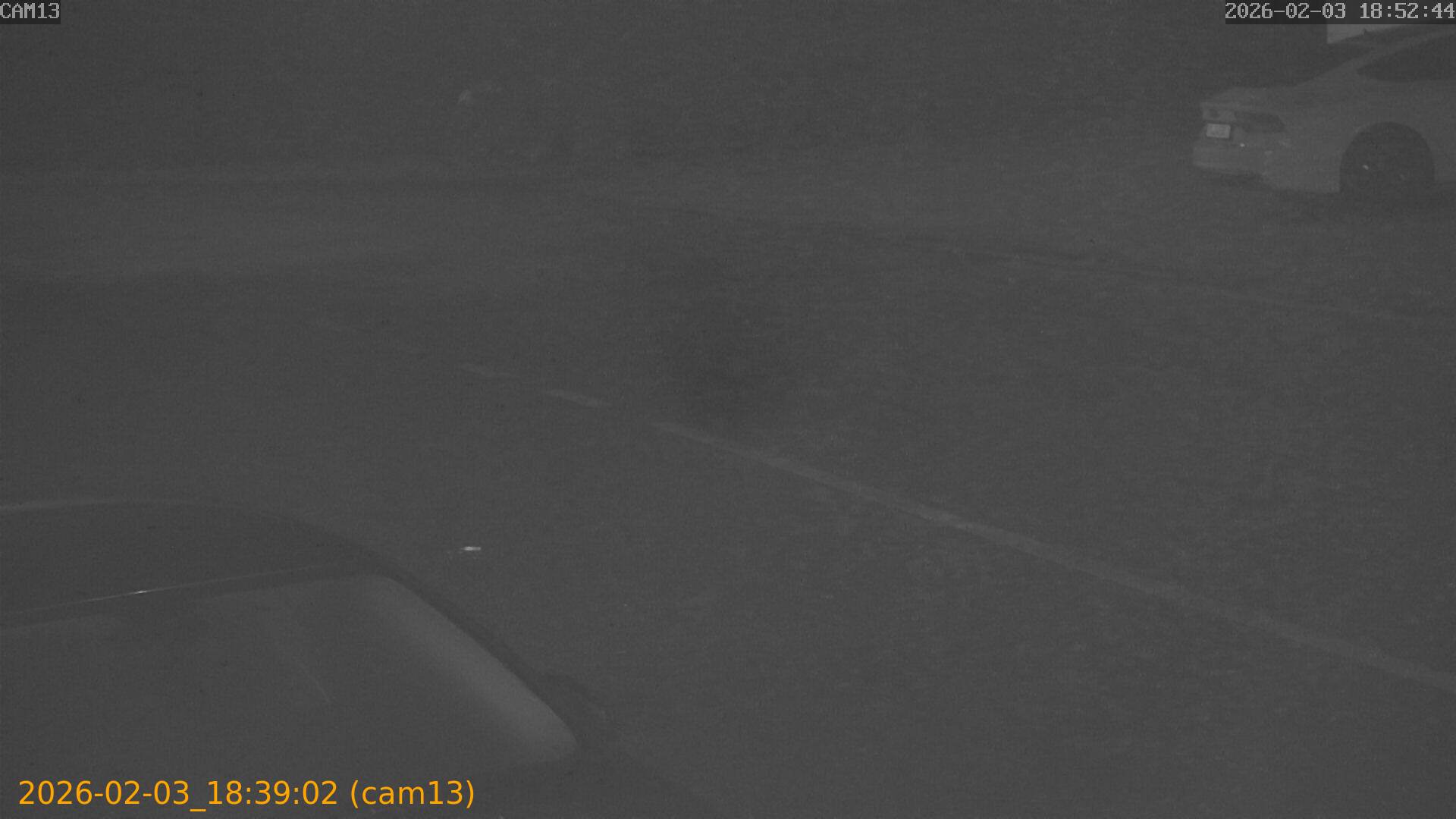 thumbnail_20260203183902