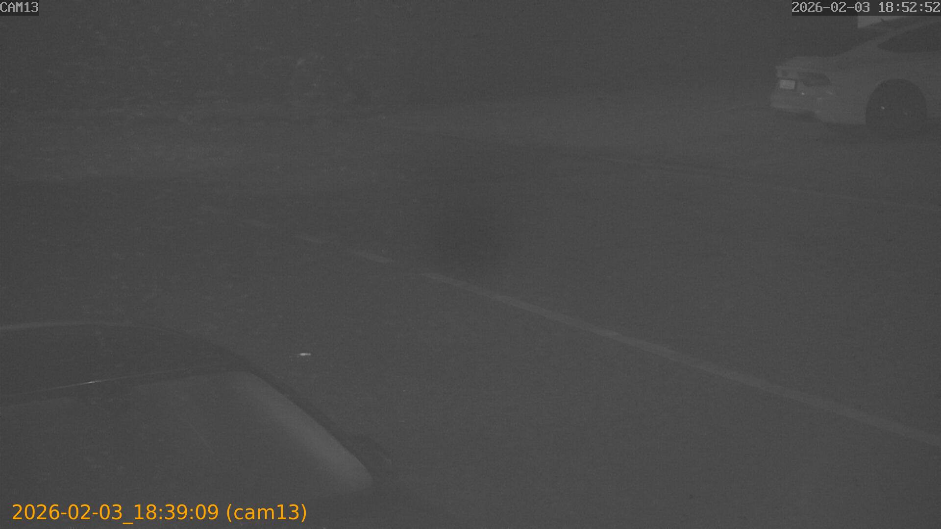 thumbnail_20260203183909