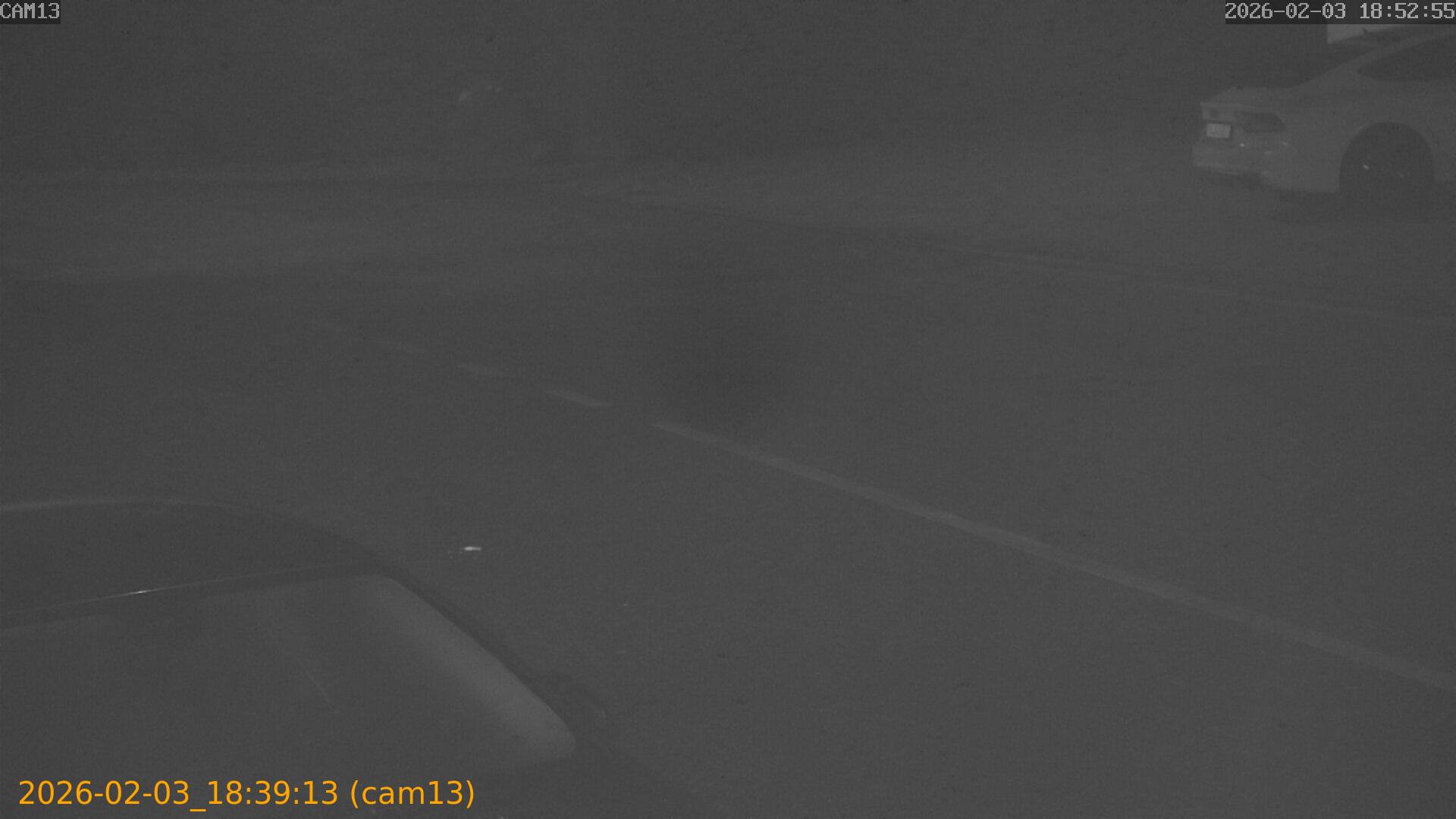 thumbnail_20260203183913