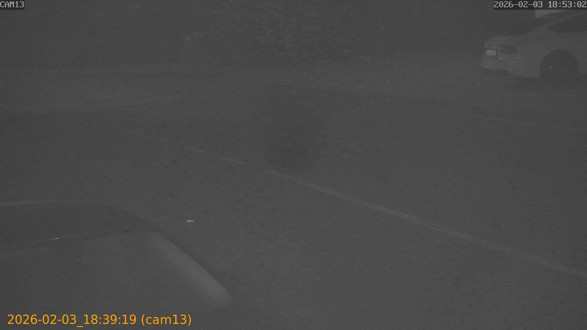 thumbnail_20260203183919