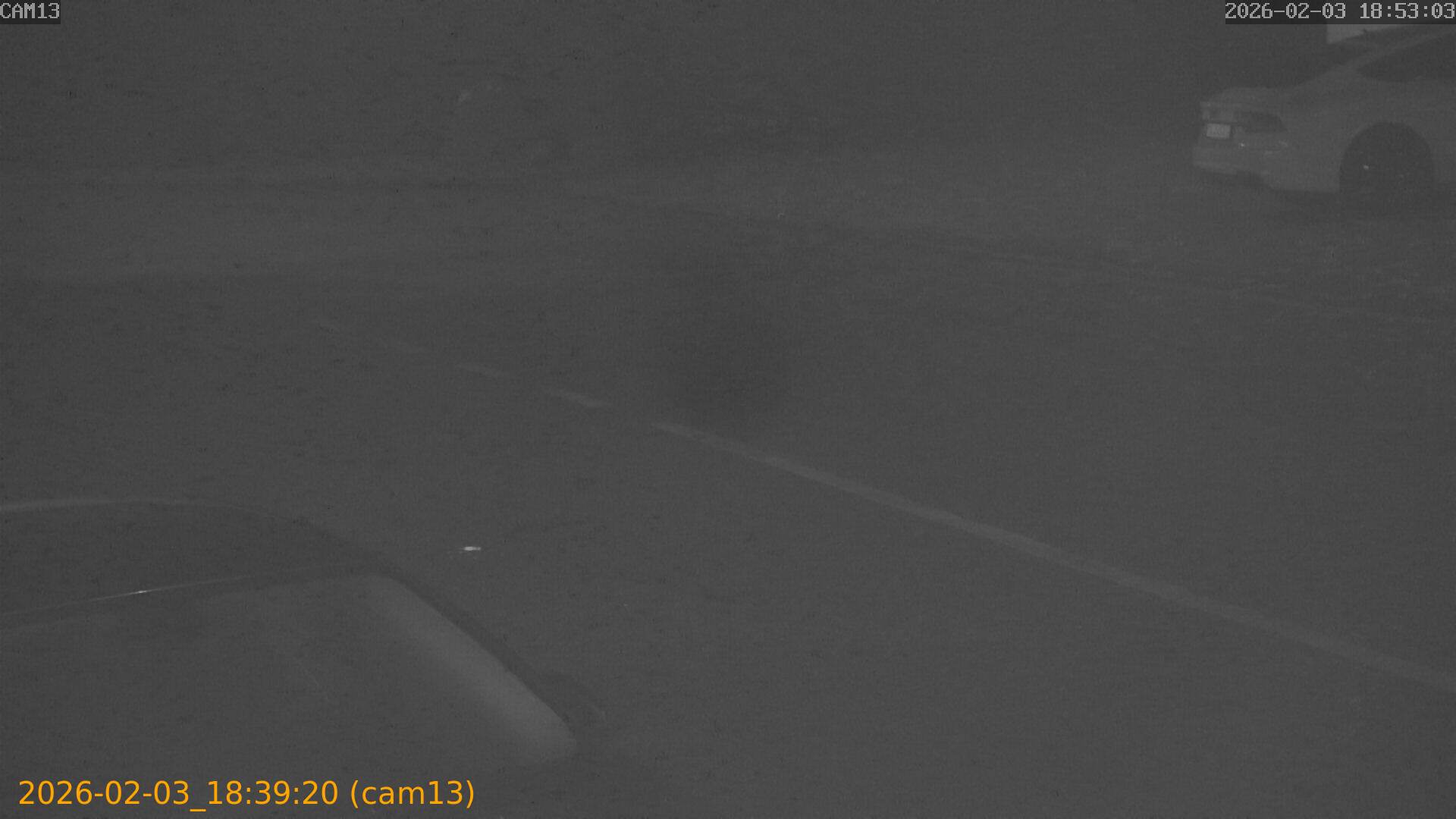 thumbnail_20260203183920