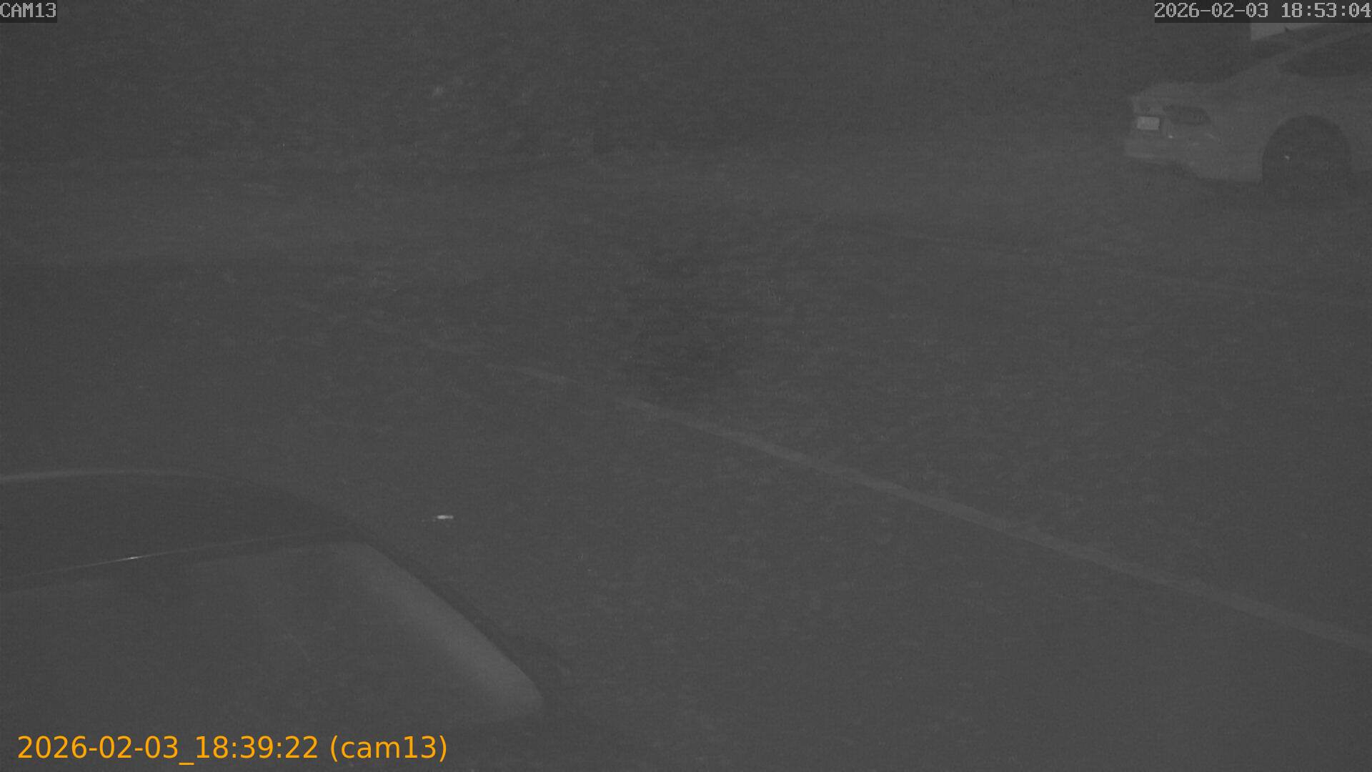 thumbnail_20260203183922