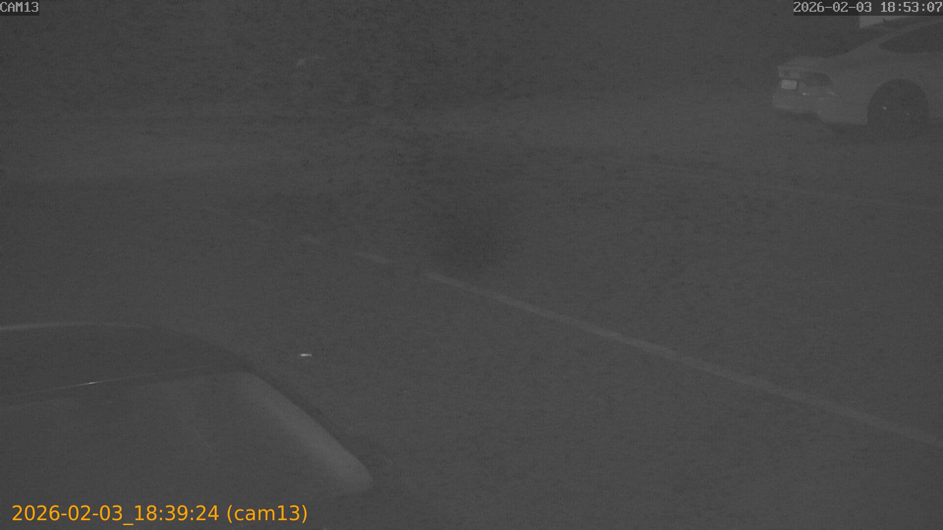 thumbnail_20260203183924