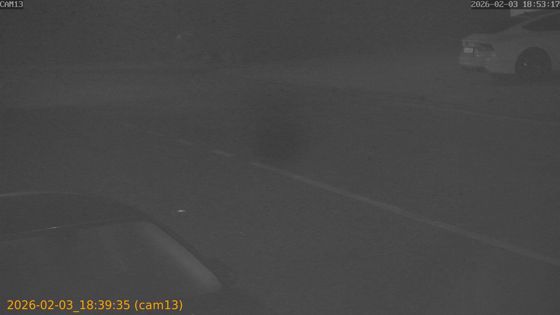 thumbnail_20260203183935