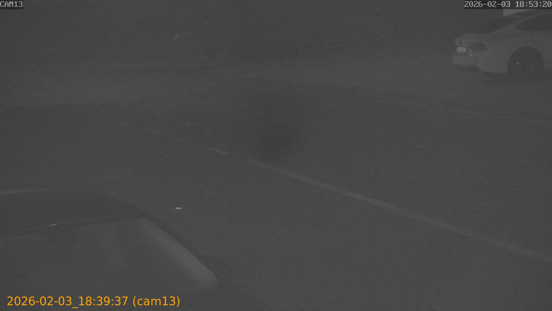 thumbnail_20260203183937