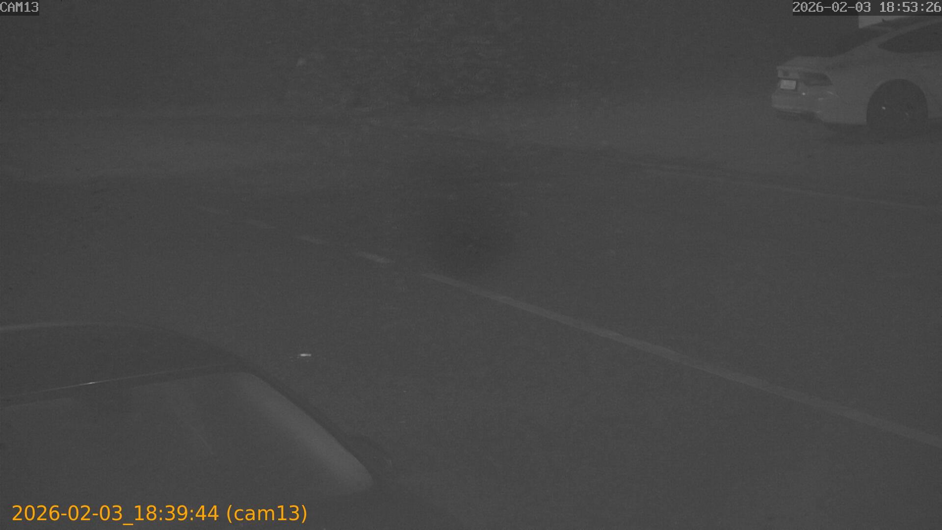 thumbnail_20260203183944