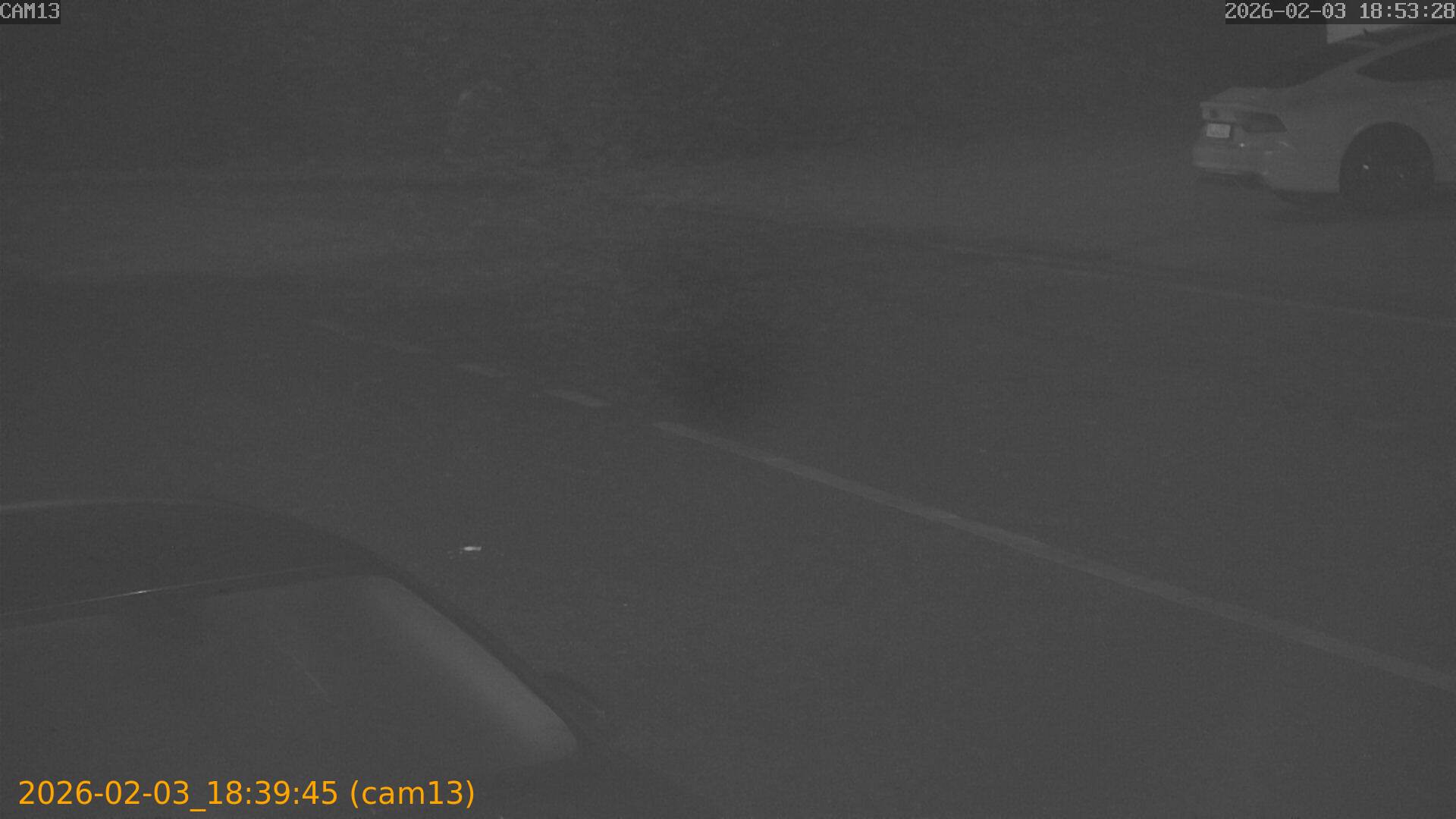 thumbnail_20260203183945