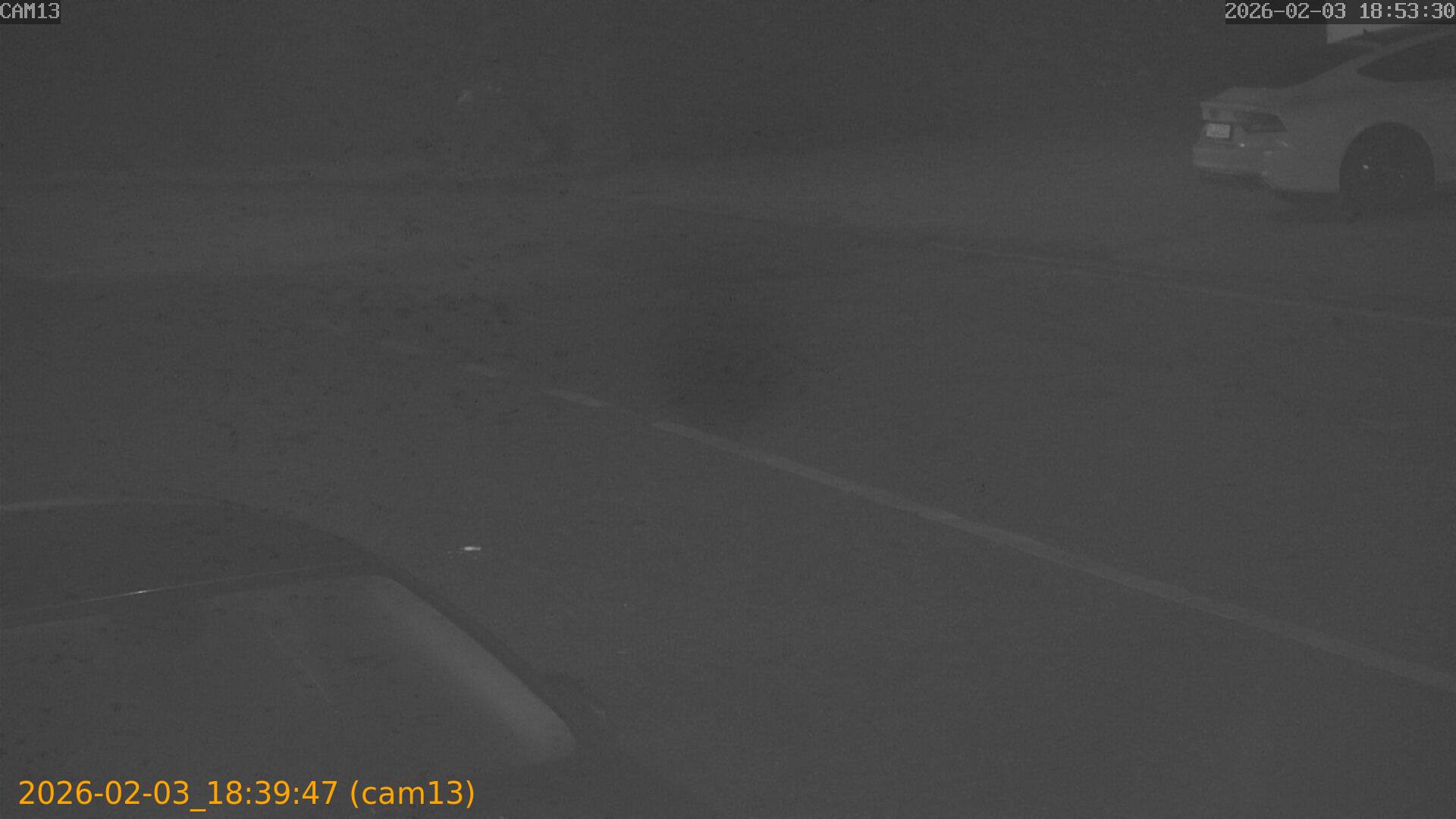 thumbnail_20260203183947