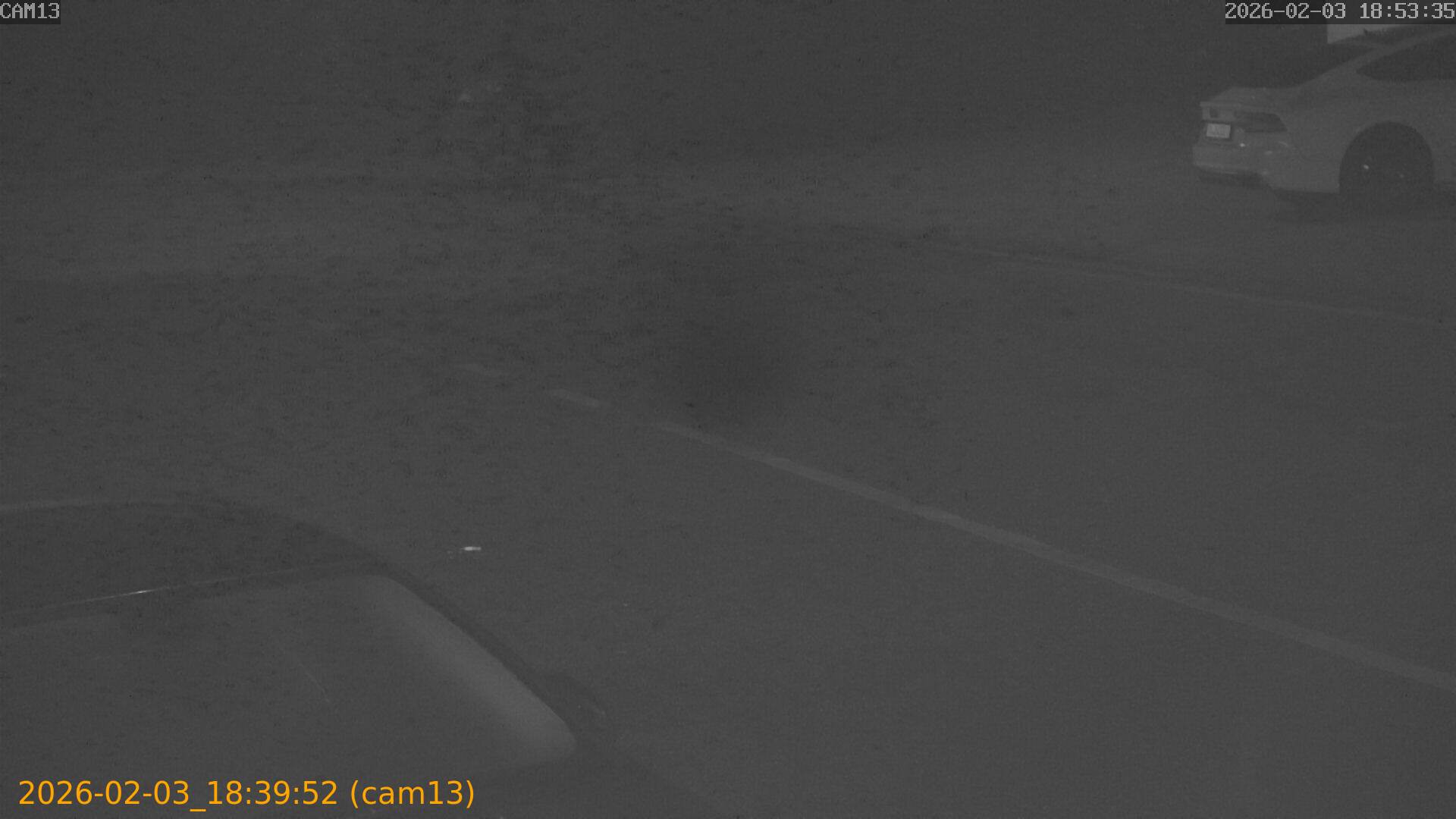 thumbnail_20260203183952