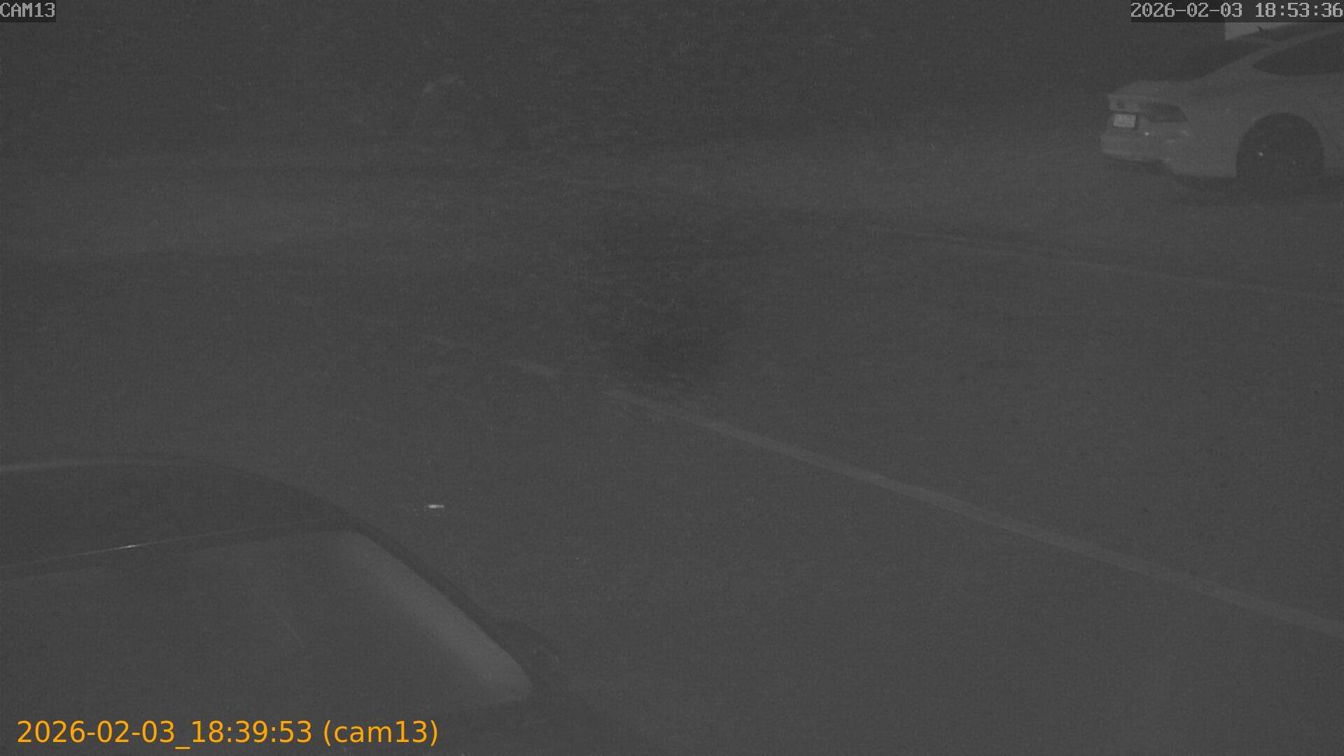 thumbnail_20260203183953