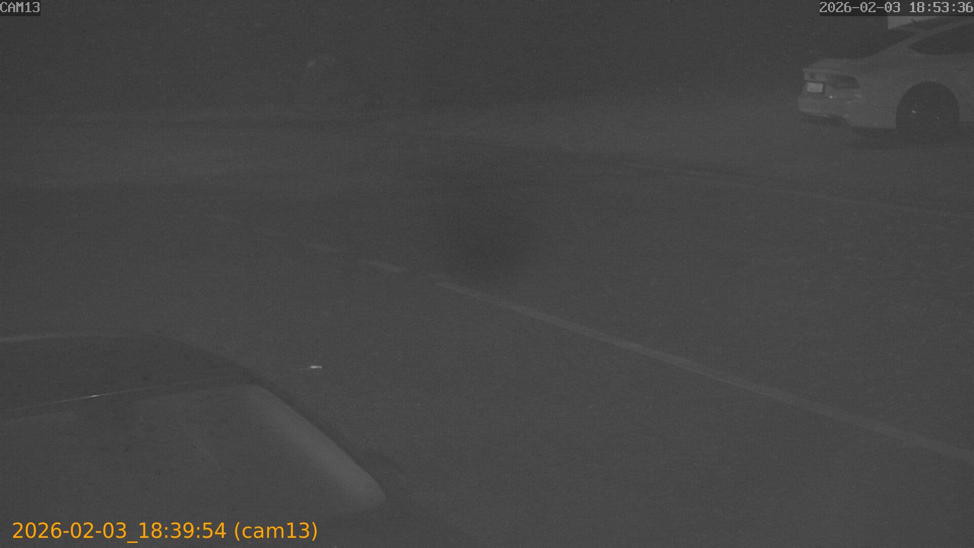 thumbnail_20260203183954