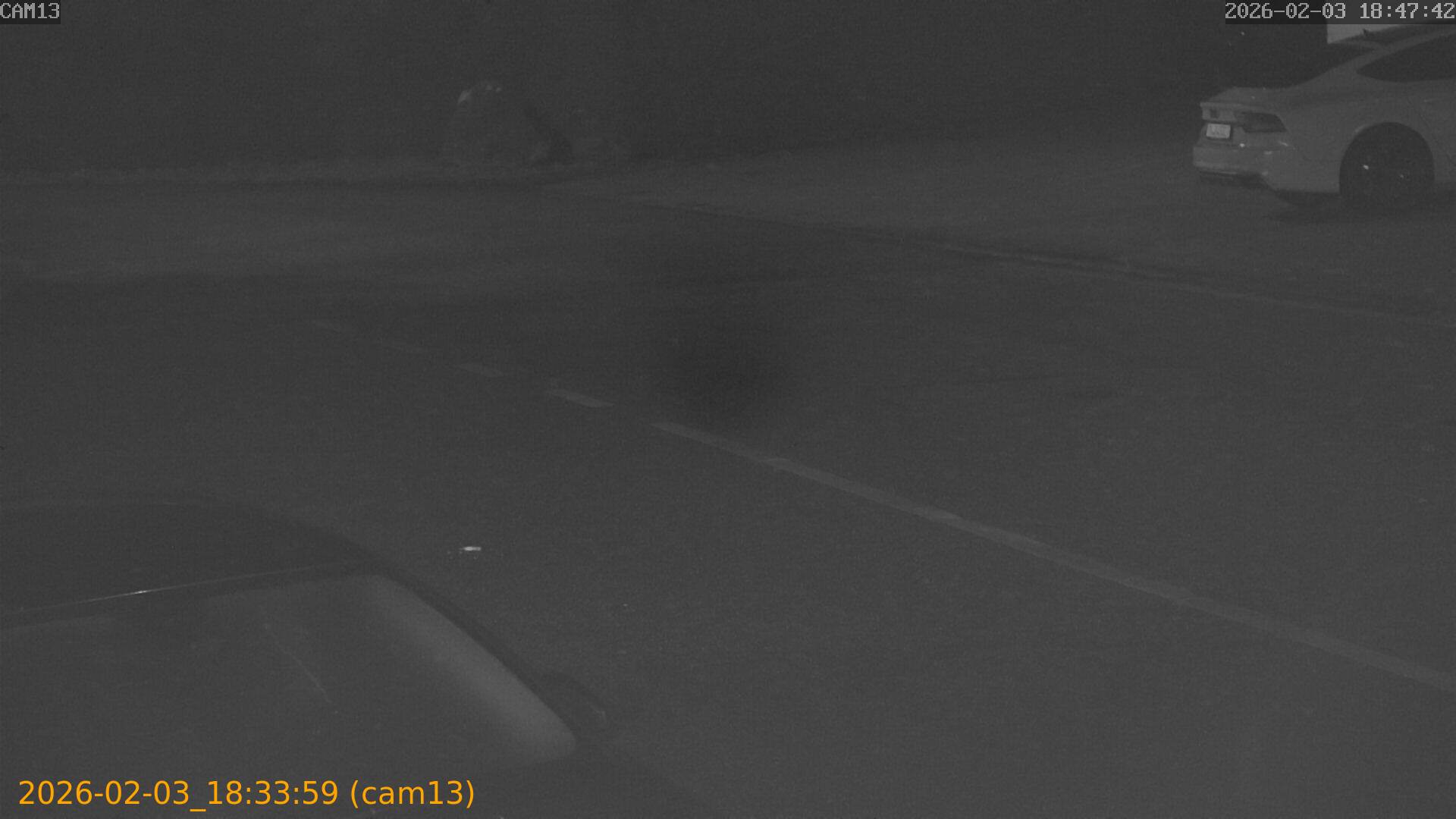 thumbnail_202602031833