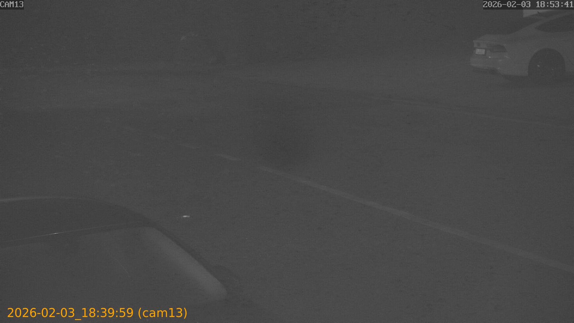 thumbnail_202602031839