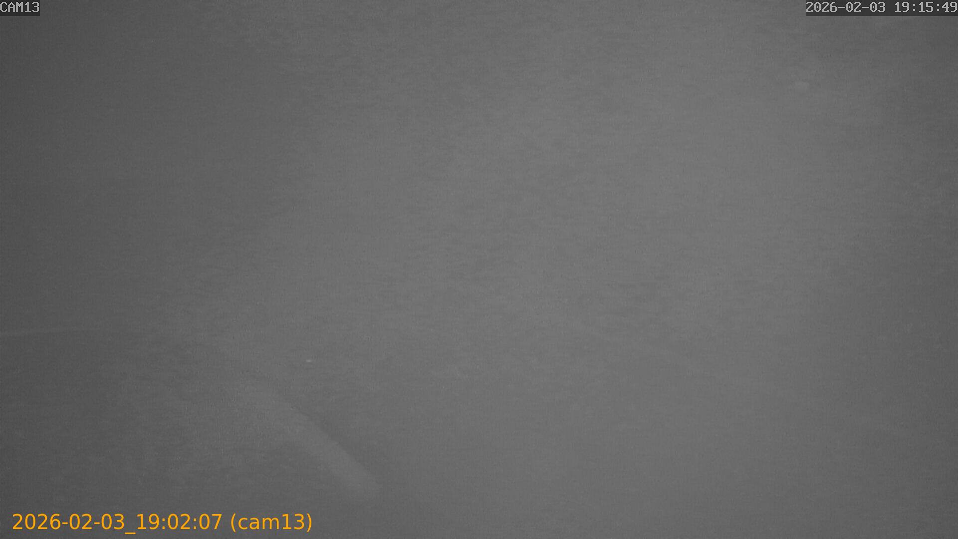 thumbnail_20260203190207