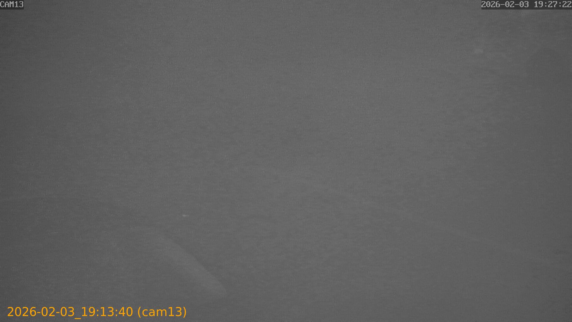 thumbnail_20260203191340