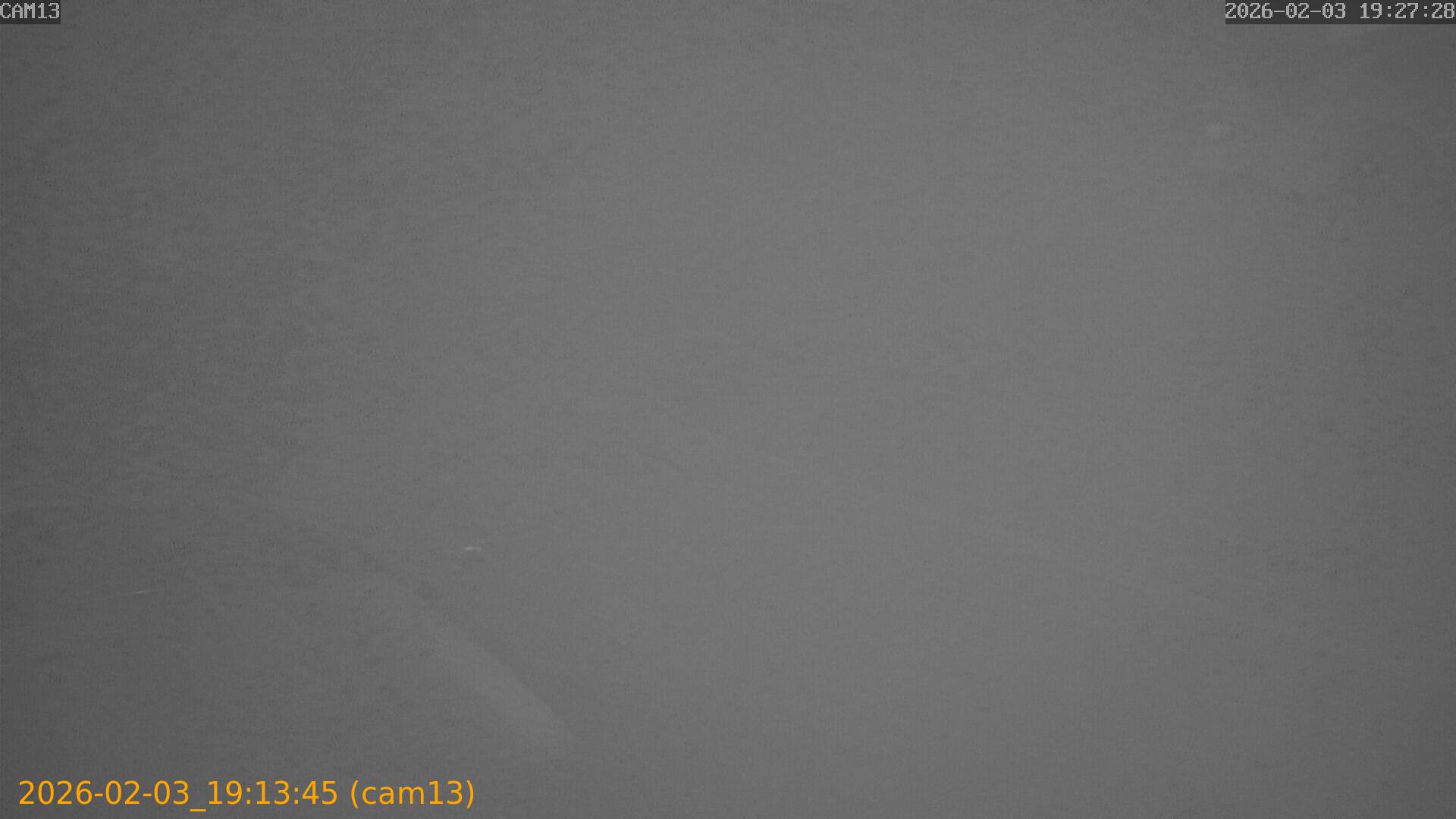 thumbnail_20260203191345