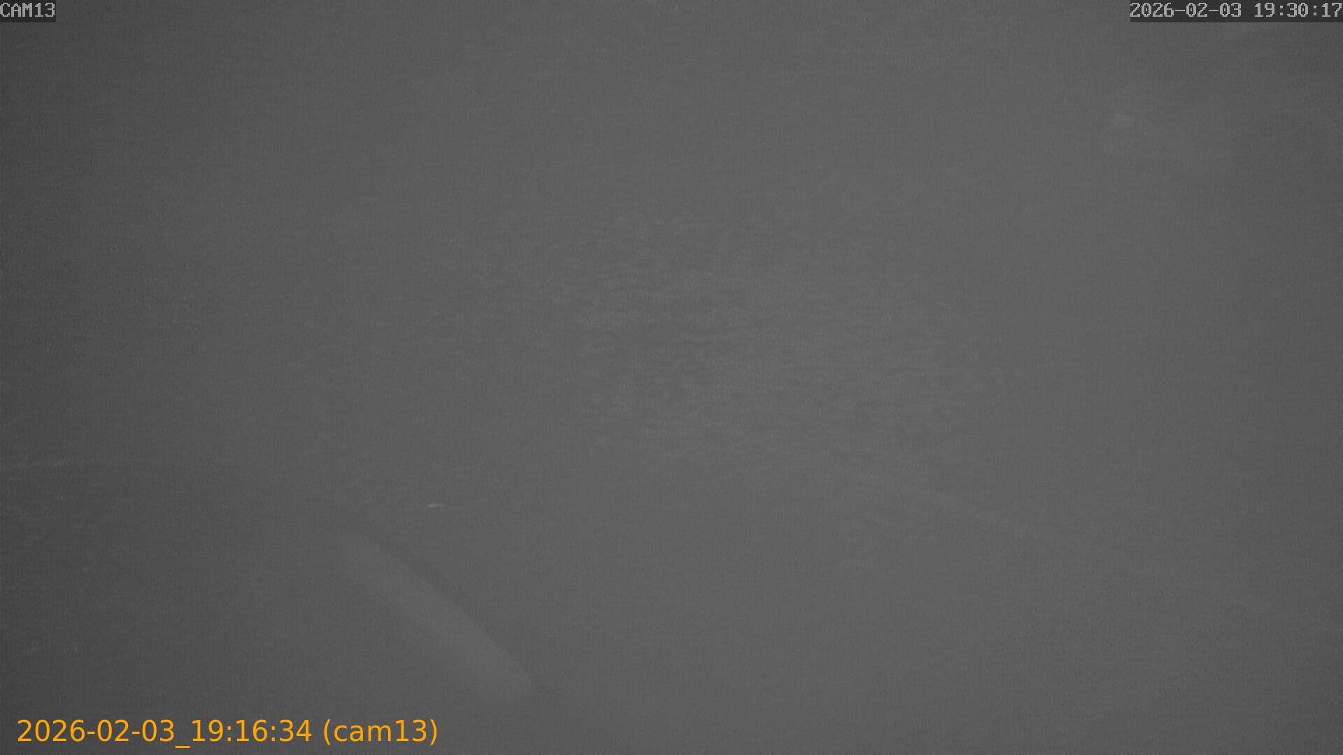 thumbnail_20260203191634