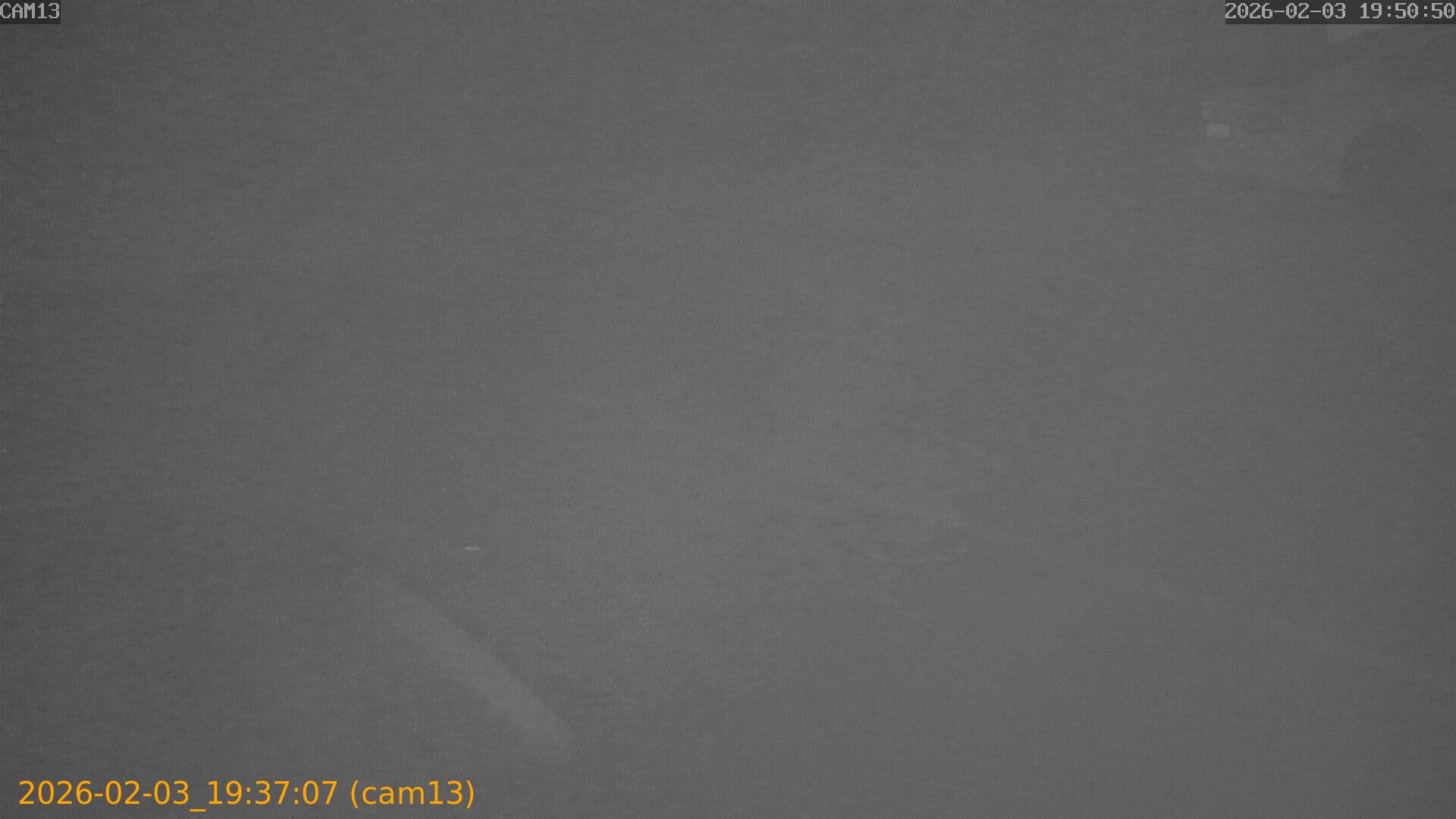 thumbnail_20260203193707