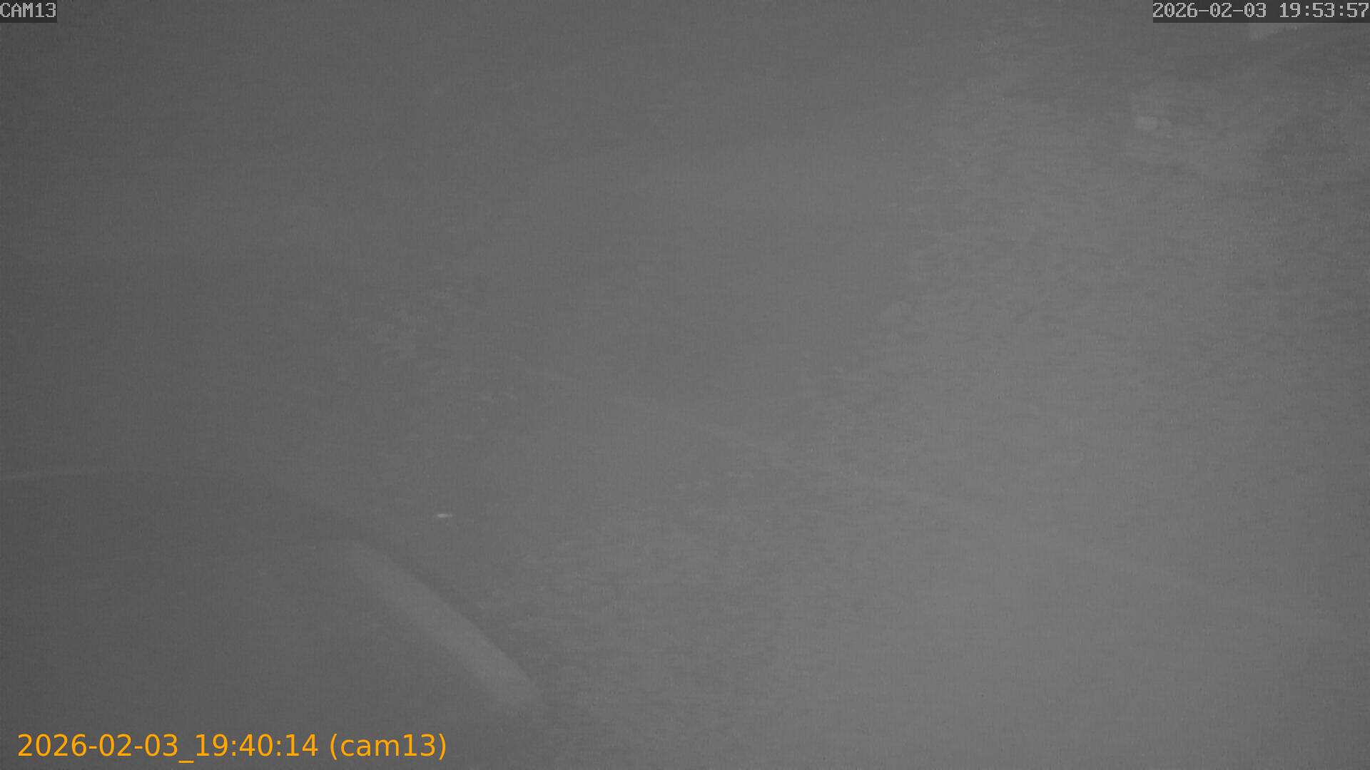 thumbnail_20260203194014