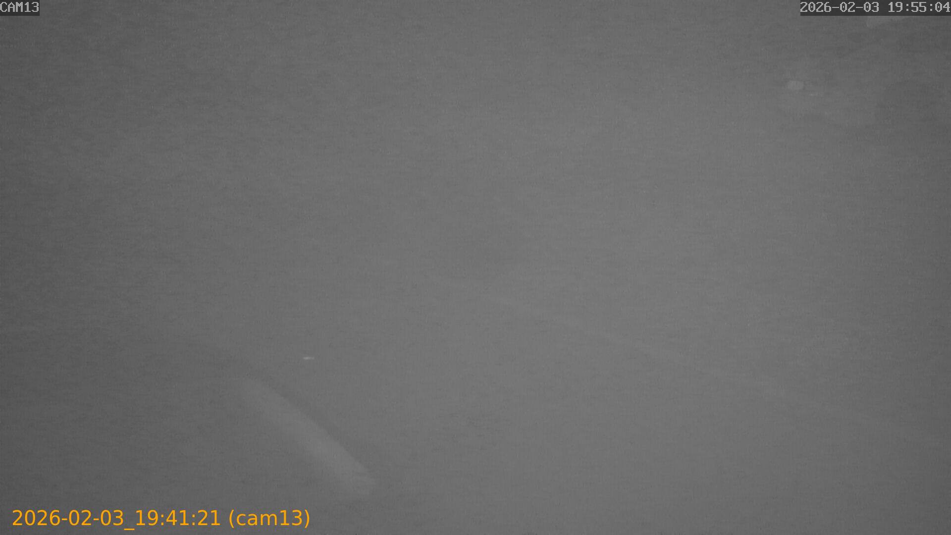 thumbnail_20260203194121