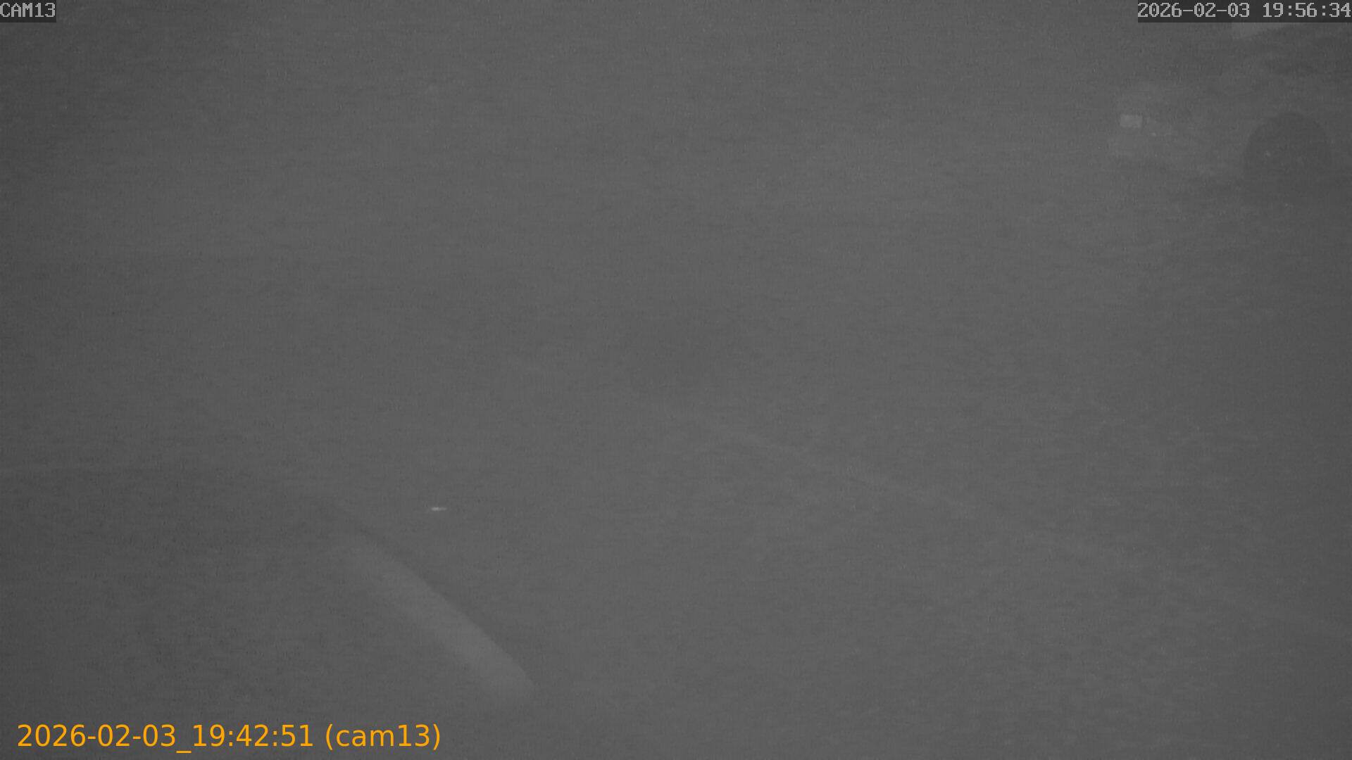 thumbnail_20260203194251