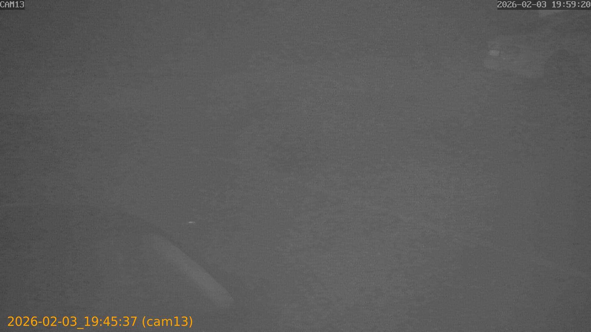 thumbnail_20260203194537