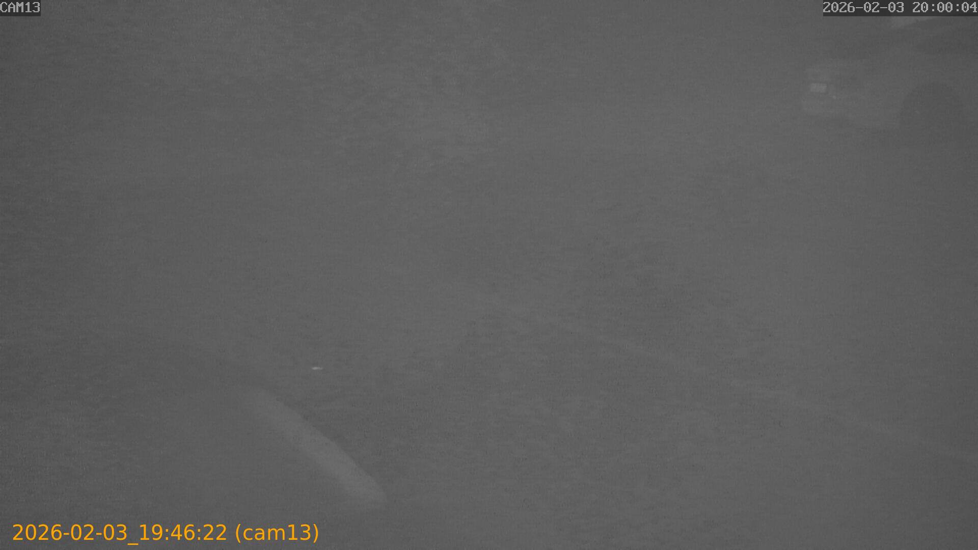 thumbnail_20260203194622