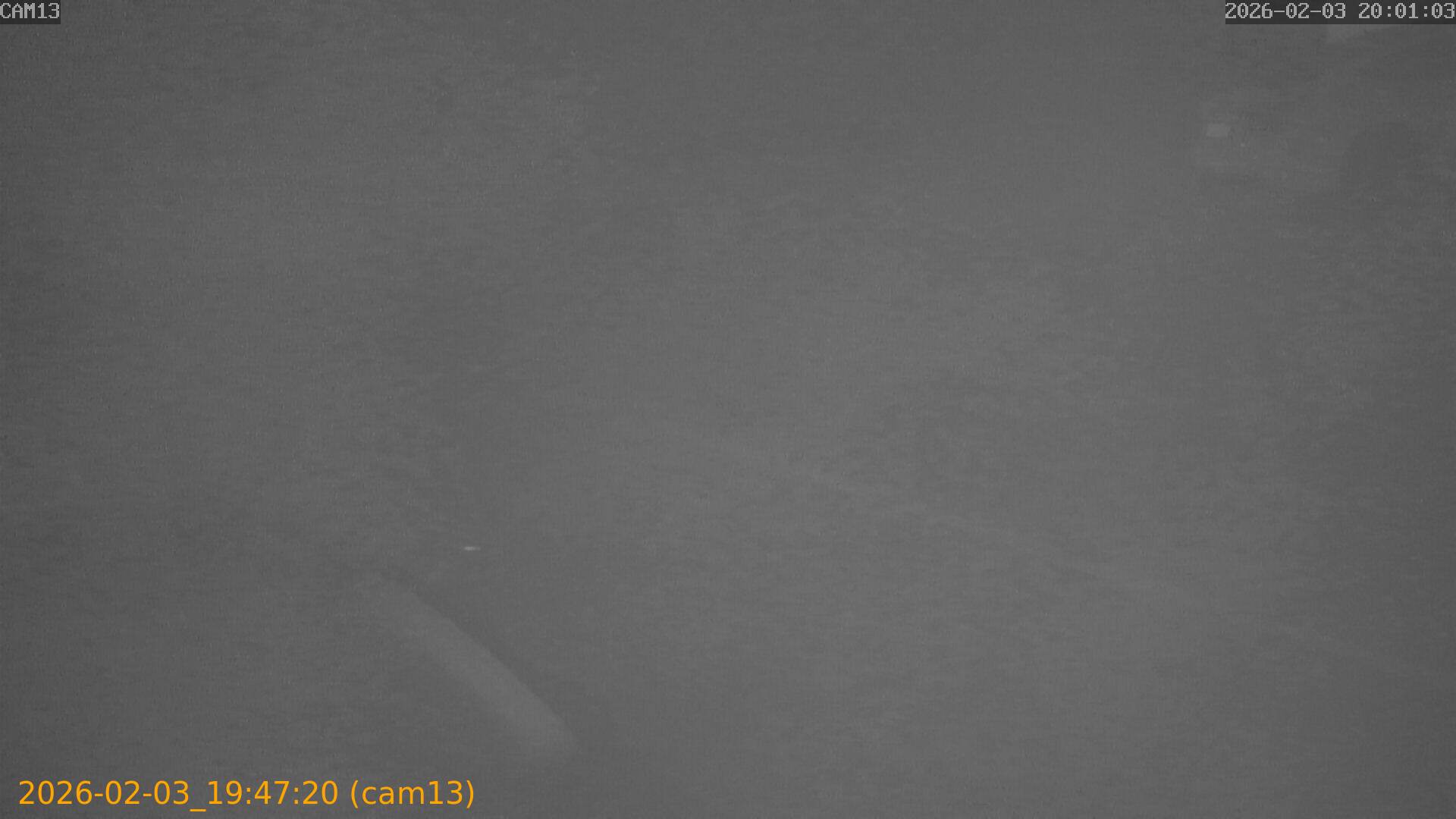 thumbnail_20260203194720