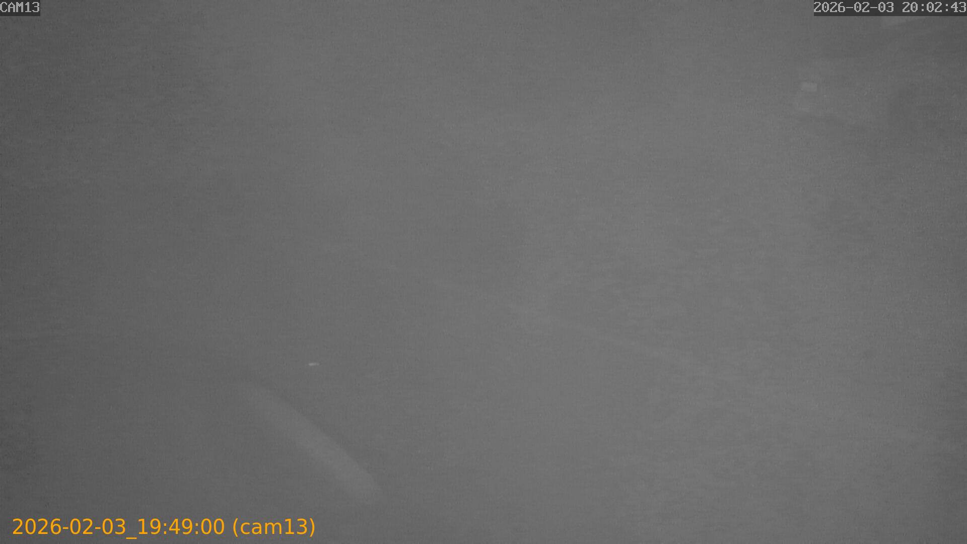 thumbnail_20260203194900