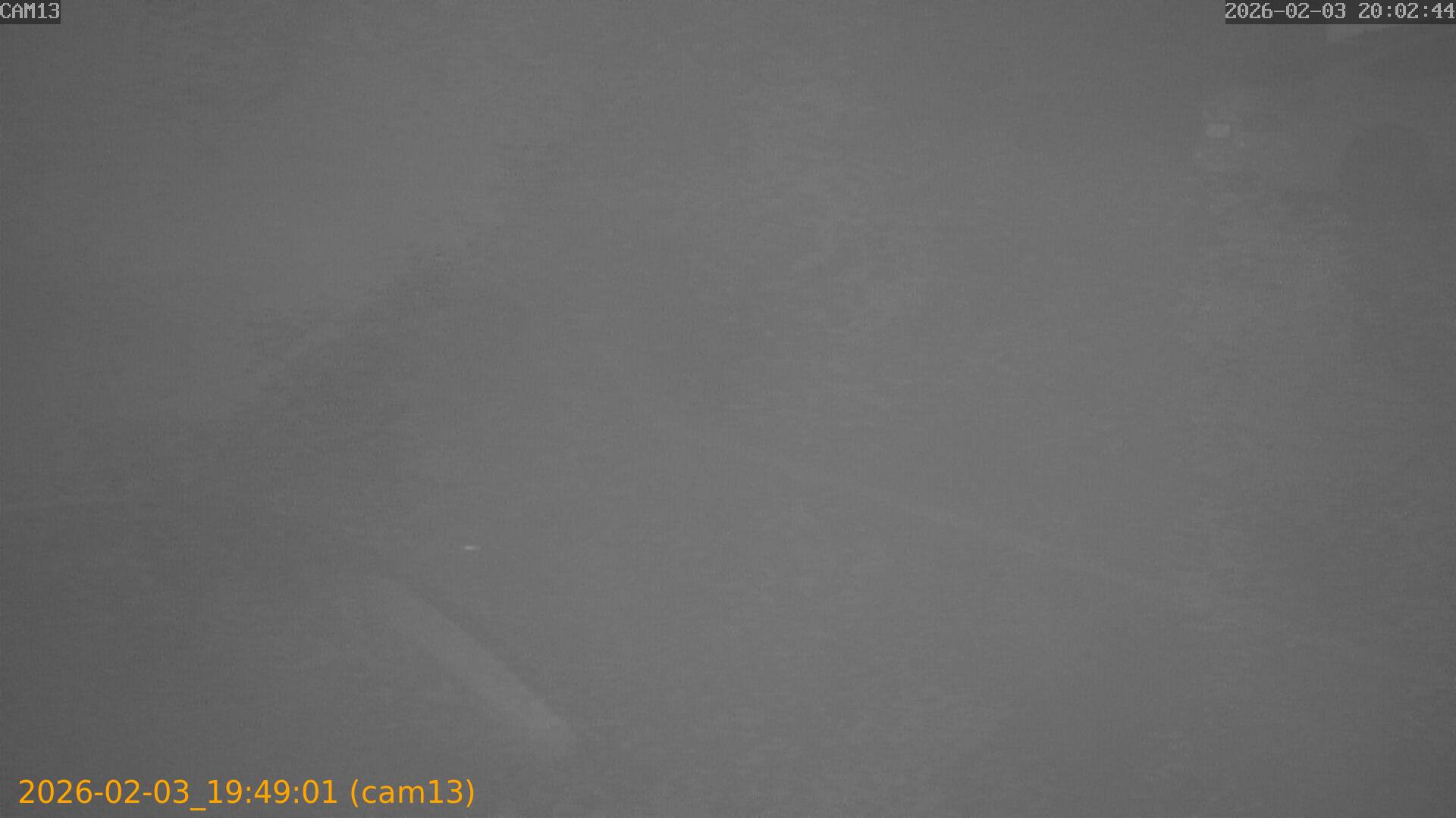 thumbnail_20260203194901