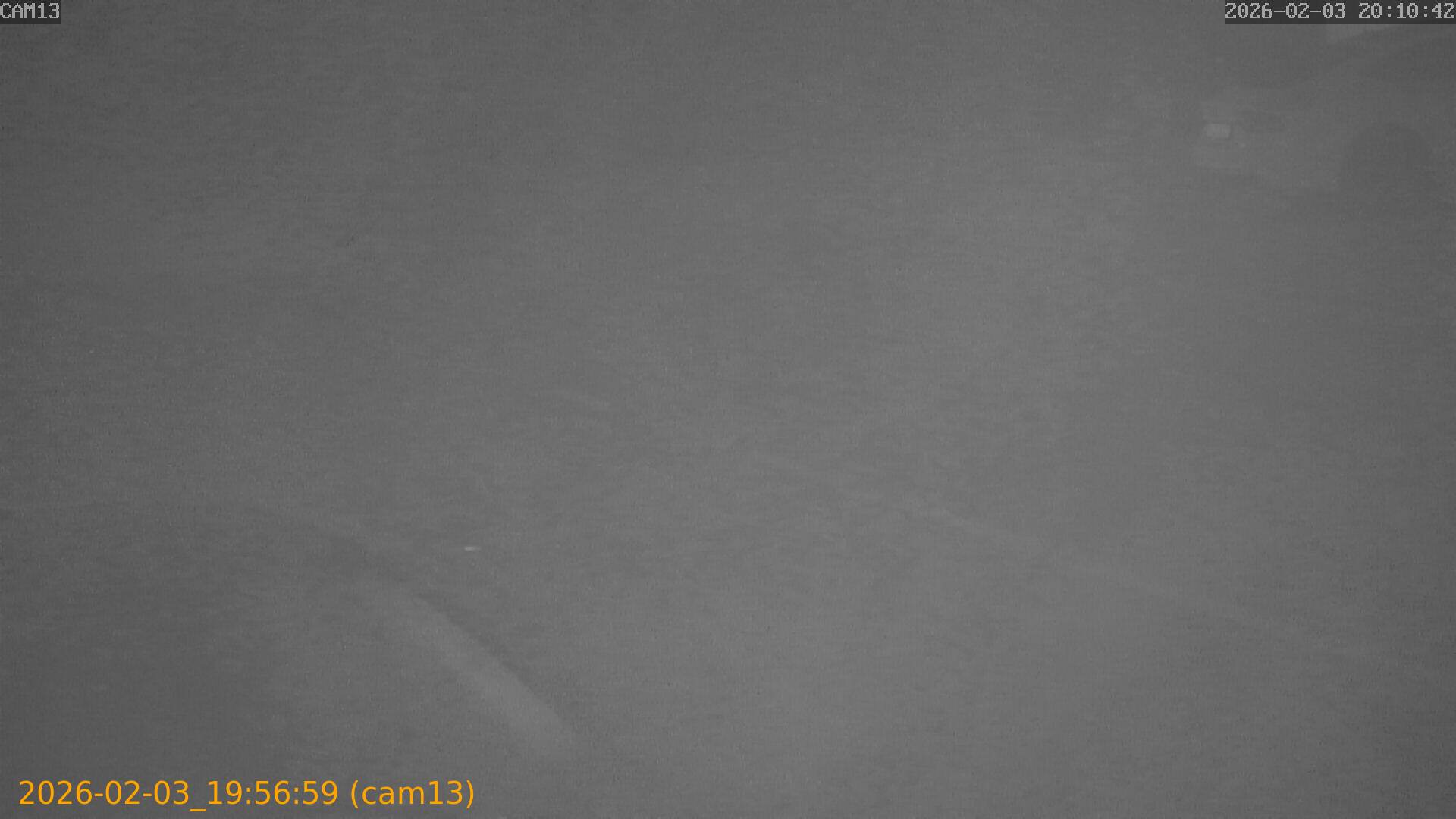 thumbnail_202602031956