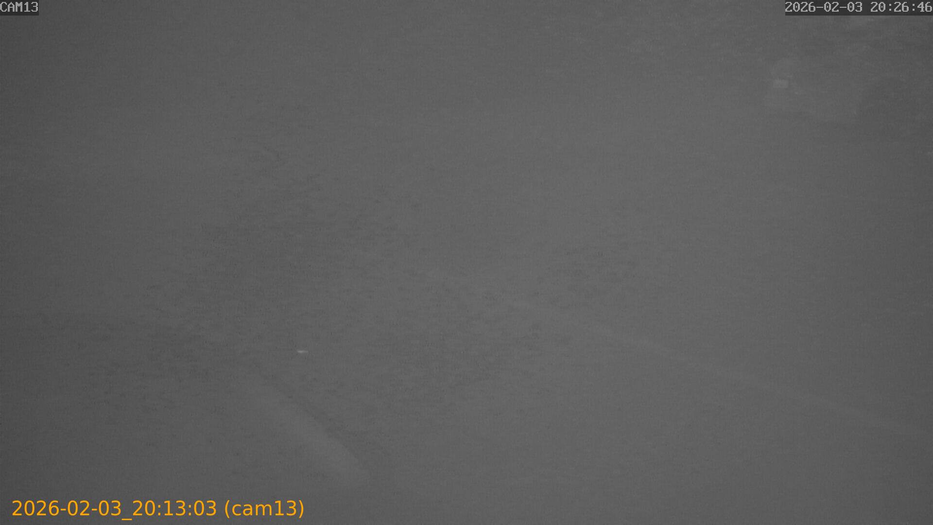 thumbnail_20260203201303