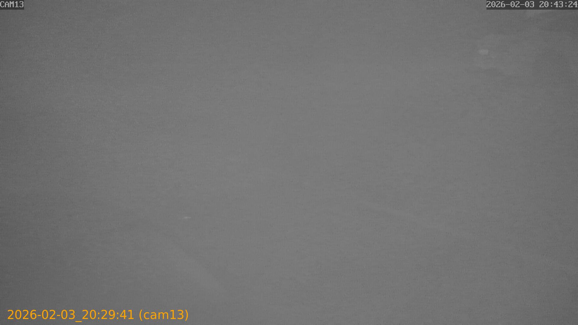 thumbnail_20260203202941