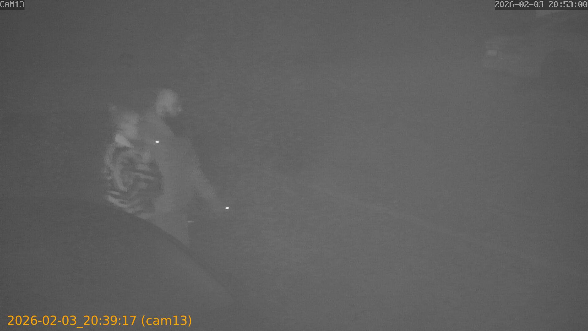 thumbnail_20260203203917