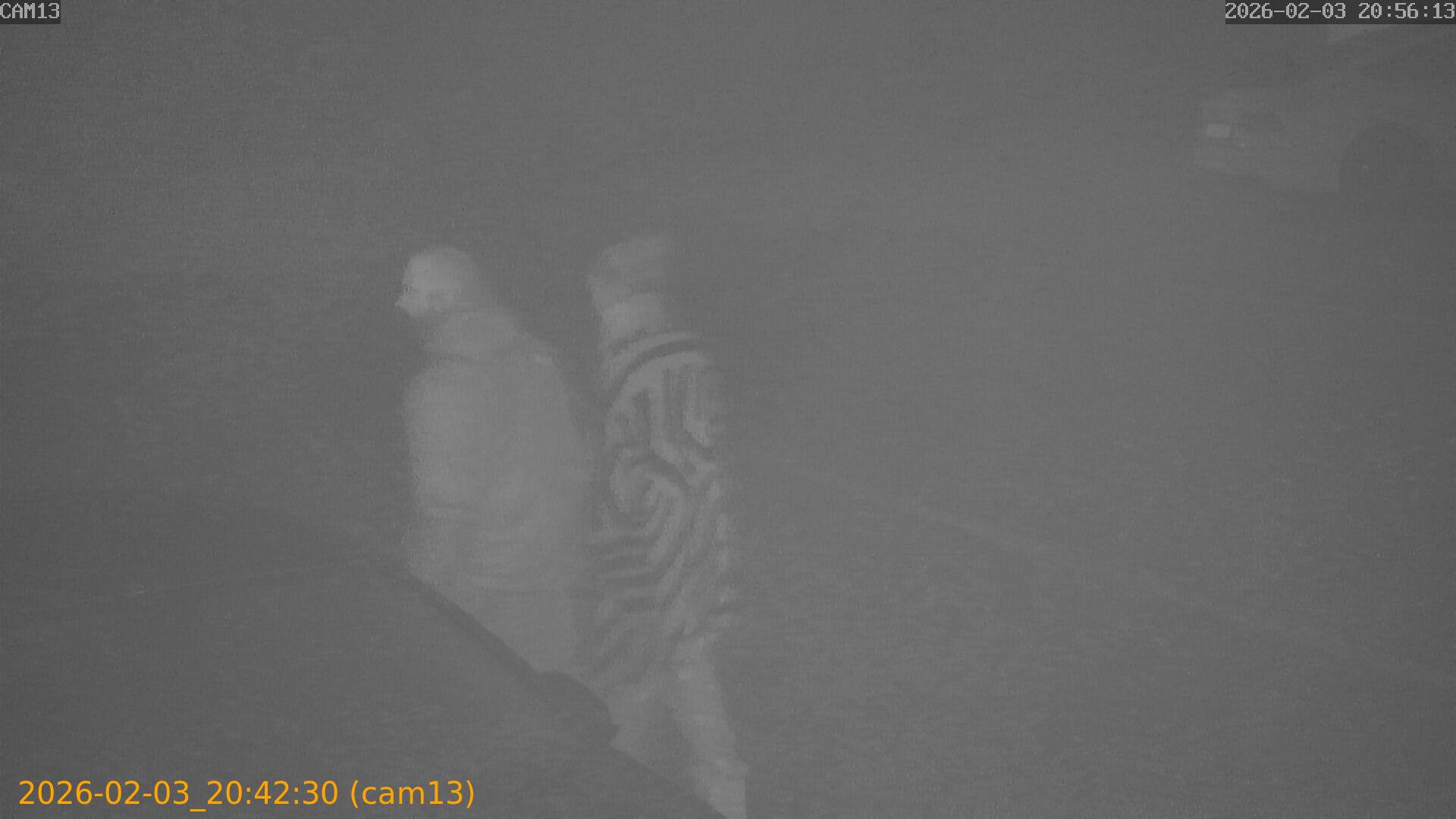 thumbnail_20260203204230