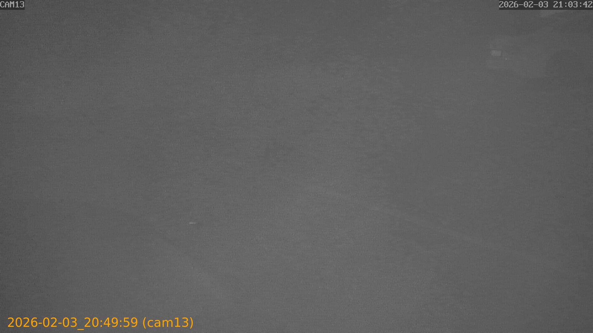 thumbnail_20260203204959