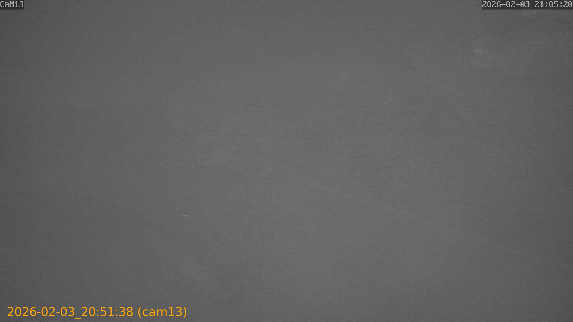 thumbnail_20260203205138