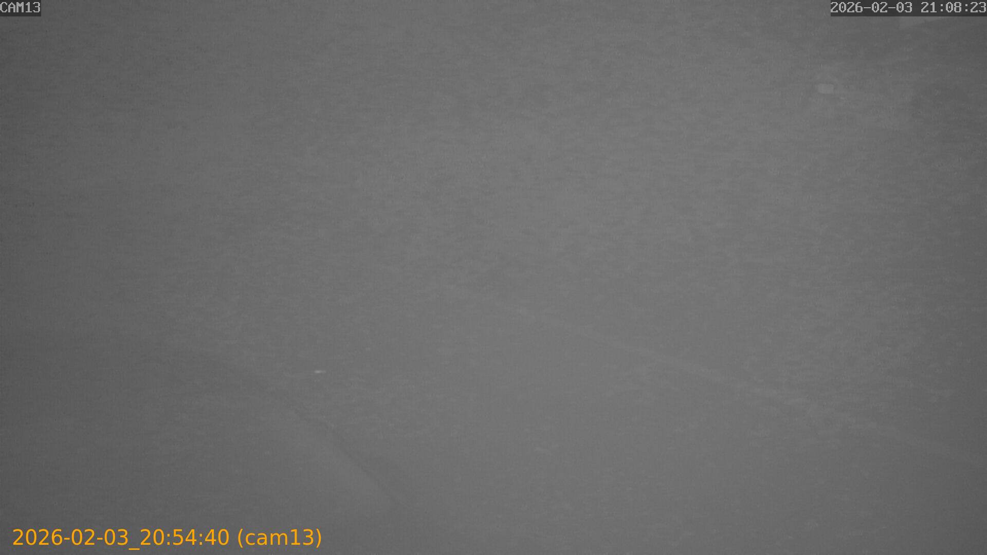 thumbnail_20260203205440