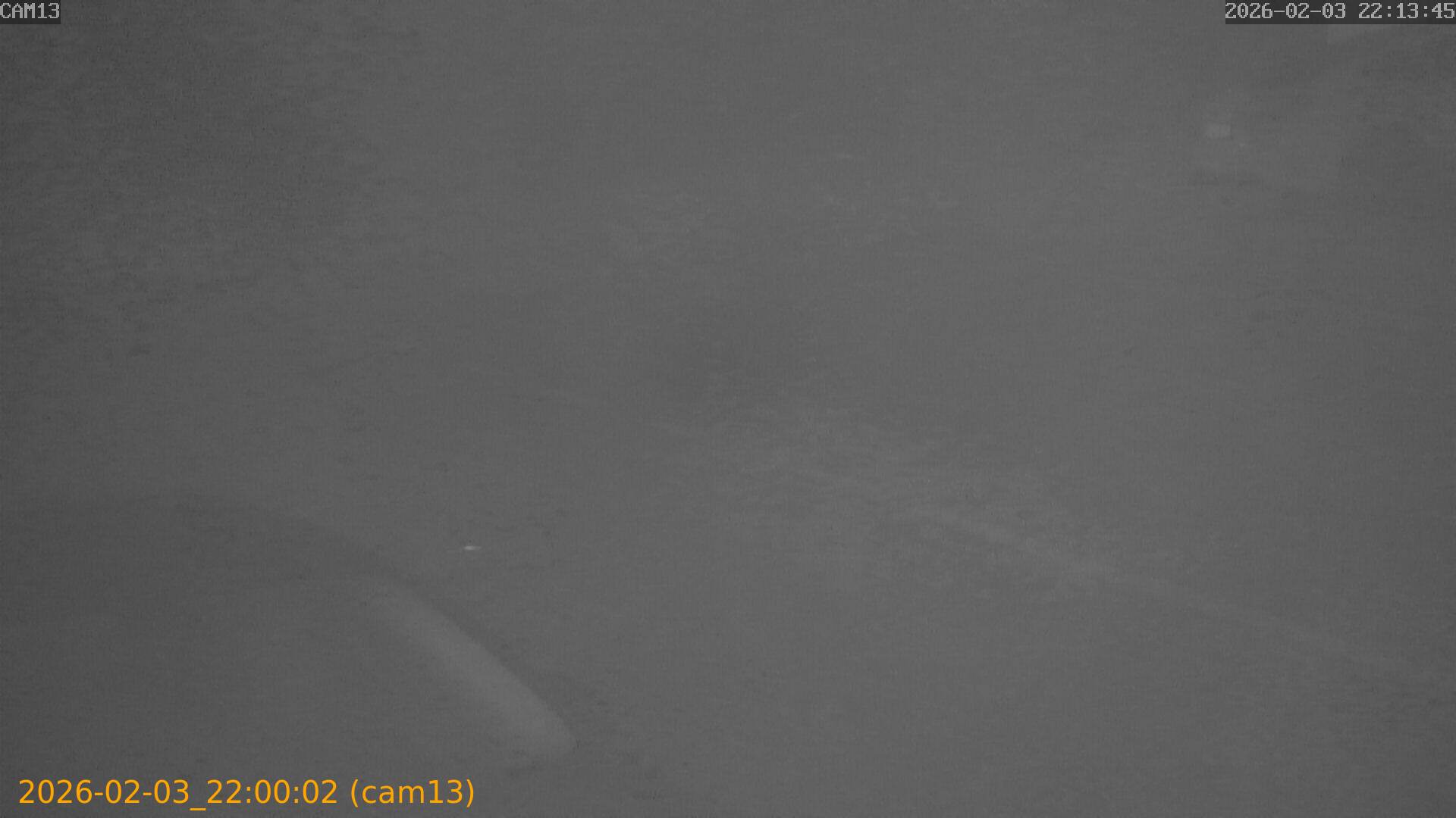 thumbnail_20260203220002