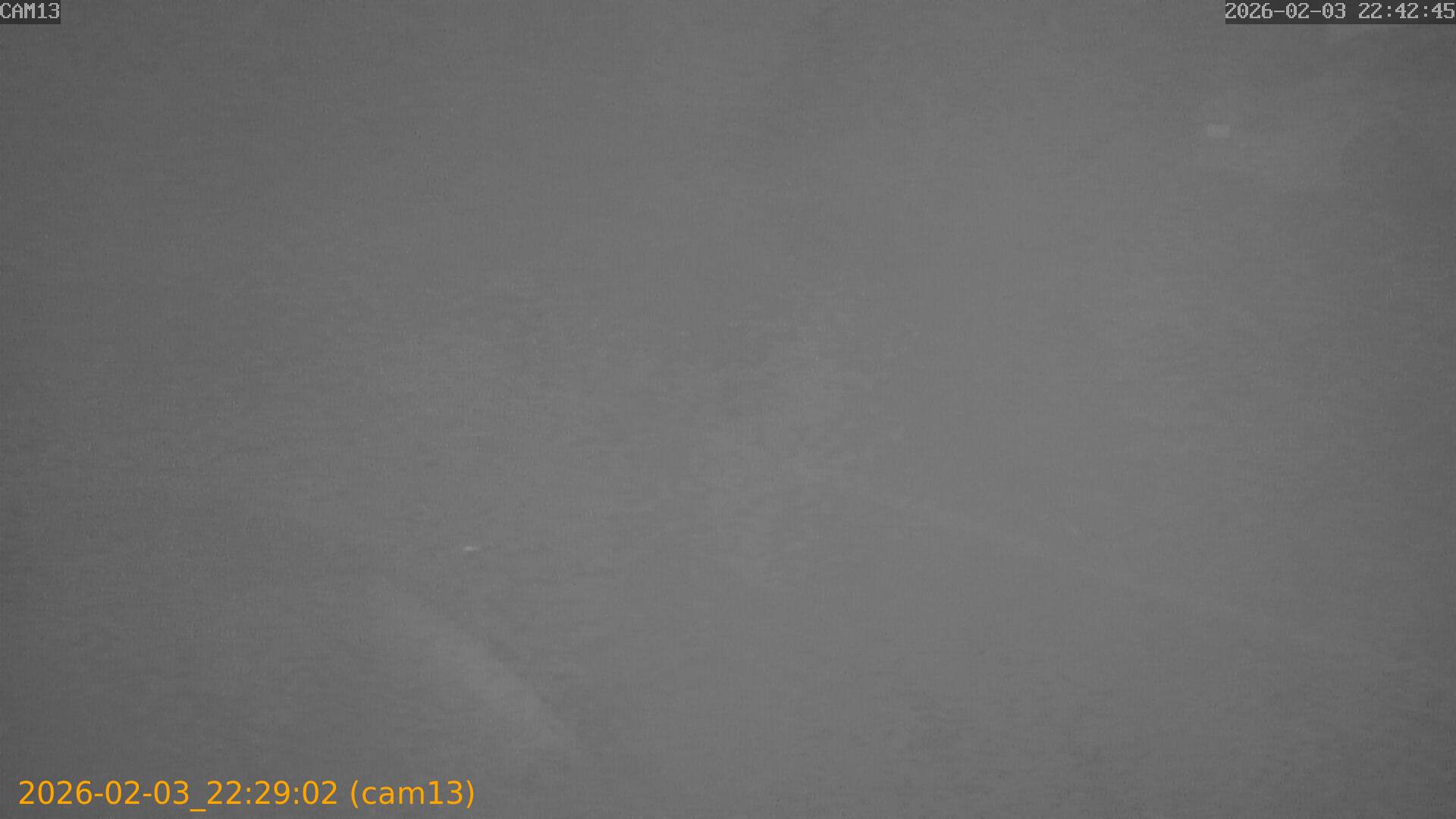 thumbnail_20260203222902