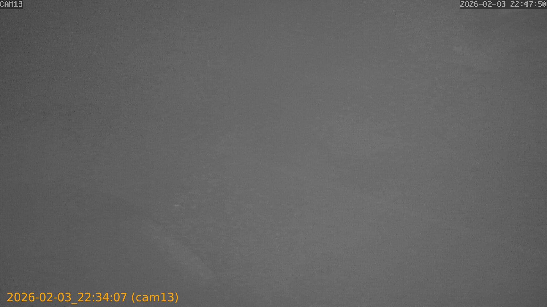 thumbnail_20260203223407